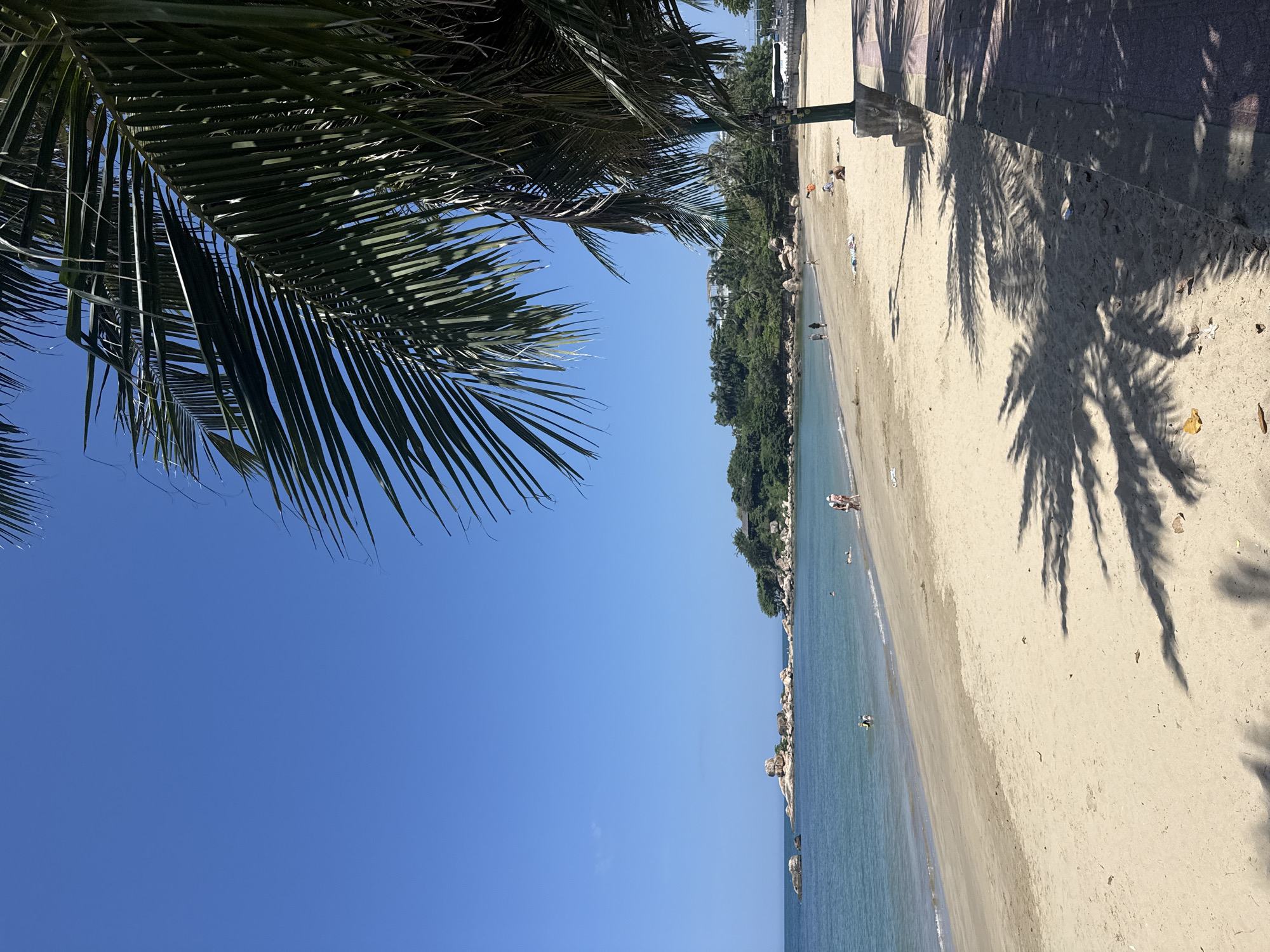 The image depicts a sunny day at a beach in Nha Trang, Vietnam, likely in the city's central beach area. In the foreground, palm fronds hang from the right, casting dappled shadows on the light brown sand. A paved walkway with decorative tiles runs along the edge of the beach on the right. Further down the beach, a few individuals are visible. In the shallow water near the shore, two people are wading, one wearing a green top and hat. Further out, several other people are present, including a couple walking along the waterline. In the mid-ground, the sea is a calm, clear turquoise. Along the coastline, a lush green hillside is dotted with trees and some buildings, with distinctive rock formations jutting out into the sea. The sky is a clear, vibrant blue. In the far background, a white bus is visible on a road that runs parallel to the beach. The scene is peaceful and suggests a typical day at a tropical beach resort.