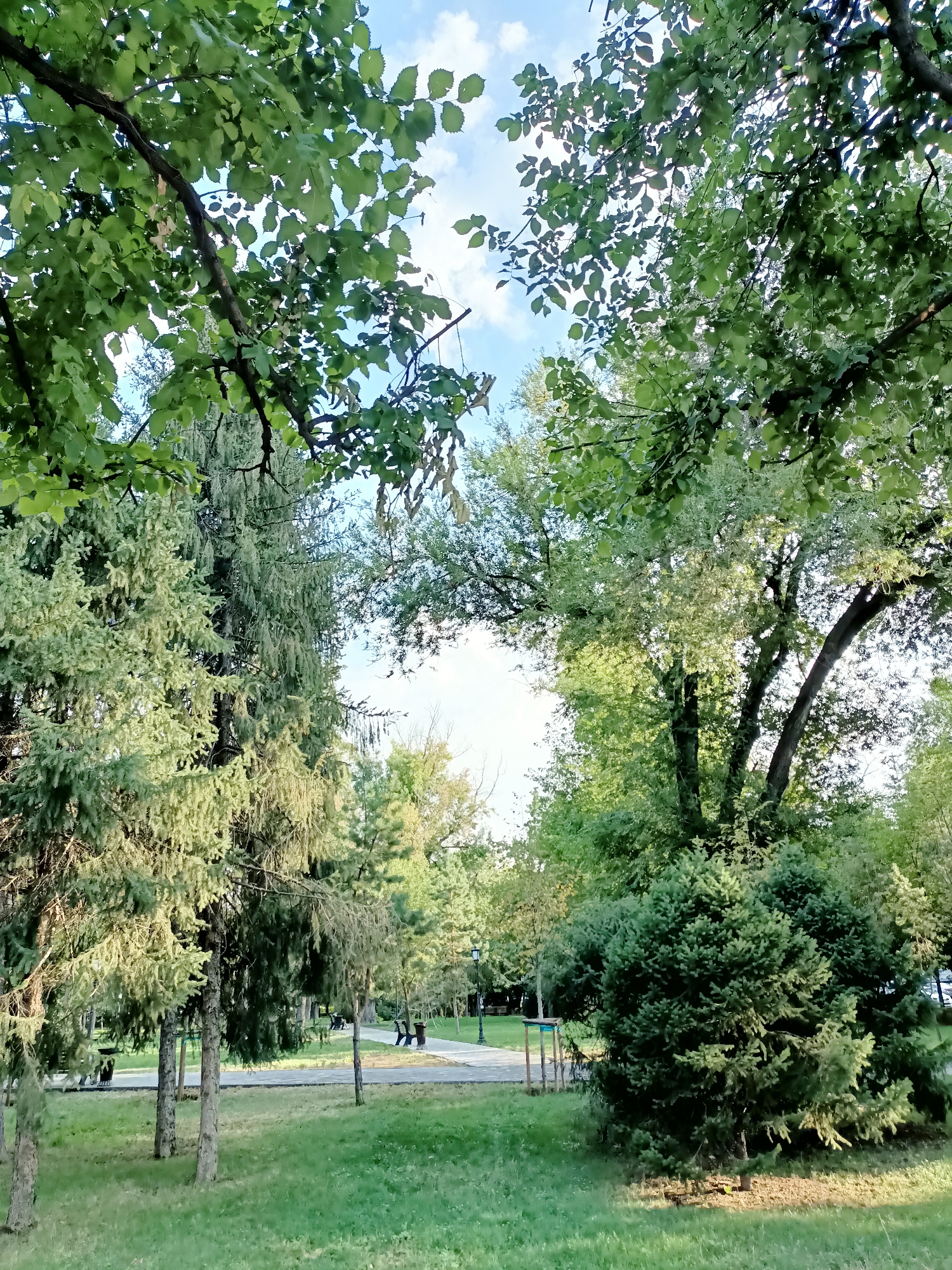 A daytime, eye-level shot captures a park scene with lush green trees dominating the foreground and middle ground. The sky is visible through gaps in the foliage, displaying a light blue hue with scattered white clouds. In the background, a paved pathway winds through the park, with benches and trash receptacles lining its edge. A lamppost stands to the right of the pathway. A few individuals are visible walking along the path, appearing as small, indistinct figures. The overall impression is a serene, natural environment within an urban setting, potentially in Almaty, Kazakhstan, known for its numerous parks and green spaces.