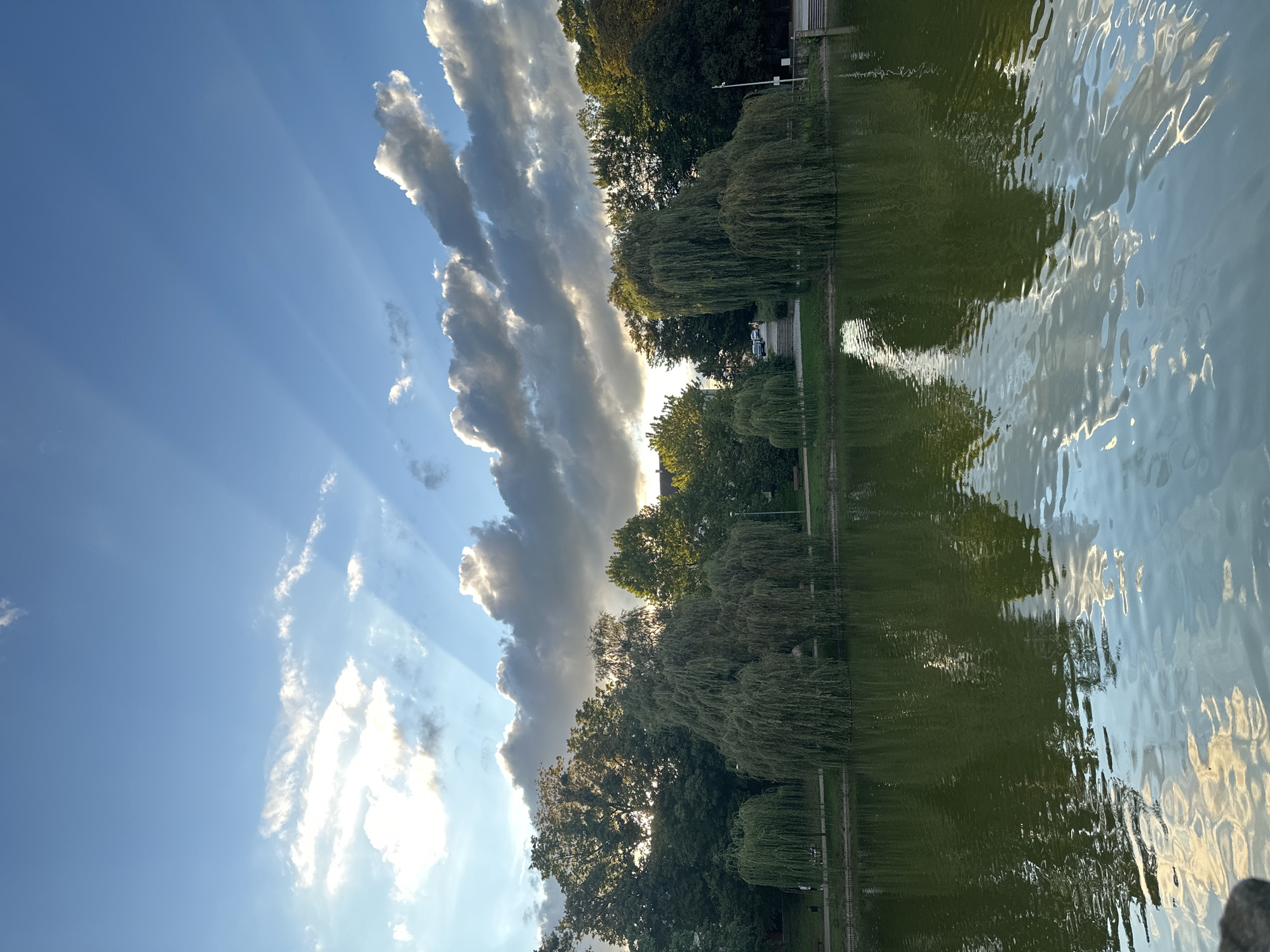 This is a photograph of the Racibórz pond in Racibórz, Poland, taken from a low angle. The sky is a vibrant blue with scattered clouds, through which crepuscular rays are visible. The sun is partially obscured by clouds, casting beams of light across the sky. The pond's surface is a deep green, reflecting the surrounding trees and the sky. Along the edge of the pond are numerous weeping willow trees, their branches hanging down to the water. Behind the trees, a grassy embankment is visible, with pathways and benches. The overall scene depicts a serene natural environment within the city.