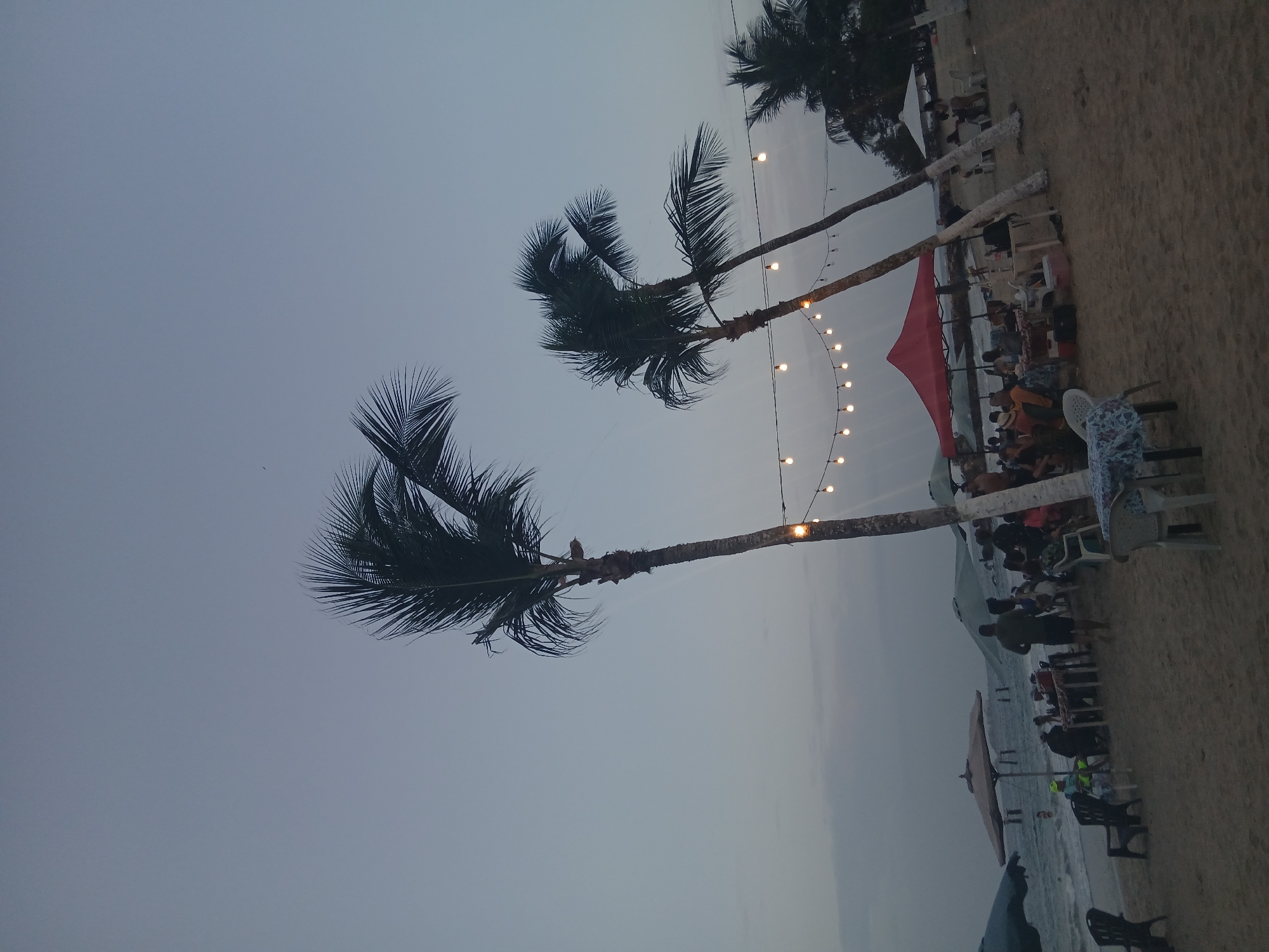 This image depicts a beach scene in Pampatar, Venezuela, at dusk. Several palm trees stand near the beach, strung with decorative lights. A red tent-like structure is also visible. People are gathered on the beach, seated at tables and chairs. The sea is visible in the background.
