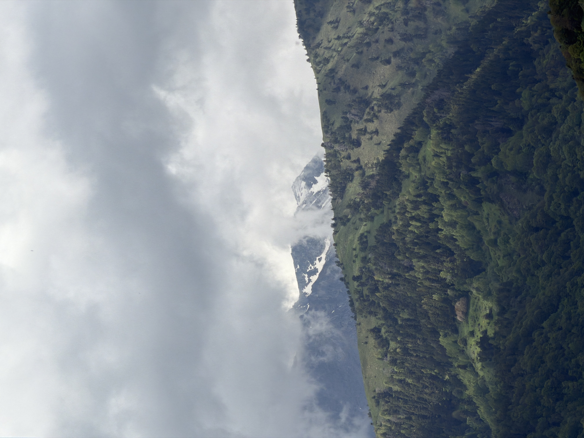The image depicts a mountainous landscape in Рилски манастир, Bulgaria, partially obscured by heavy clouds. A snow-capped peak emerges from the clouds. The right side of the image features a mountain slope covered in dense green forest. The viewpoint is elevated, offering a wide perspective of the terrain.