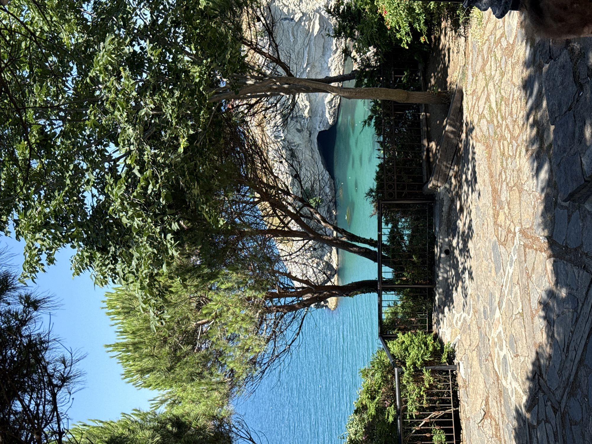 The image depicts a view of the turquoise waters of the Black Sea from a paved, stone pathway. Lush green trees frame the scene, with one prominent pine tree on the left and a cluster of deciduous trees on the right. In the distance, a large white cliff face features a dark cave entrance partially submerged in the water. The pathway is bordered by a black metal railing and dense green foliage. Sunlight casts dappled shadows across the stones. The setting appears to be a scenic overlook in or near Şile, Turkey, likely a tourist area due to its natural beauty and the presence of a viewing platform.