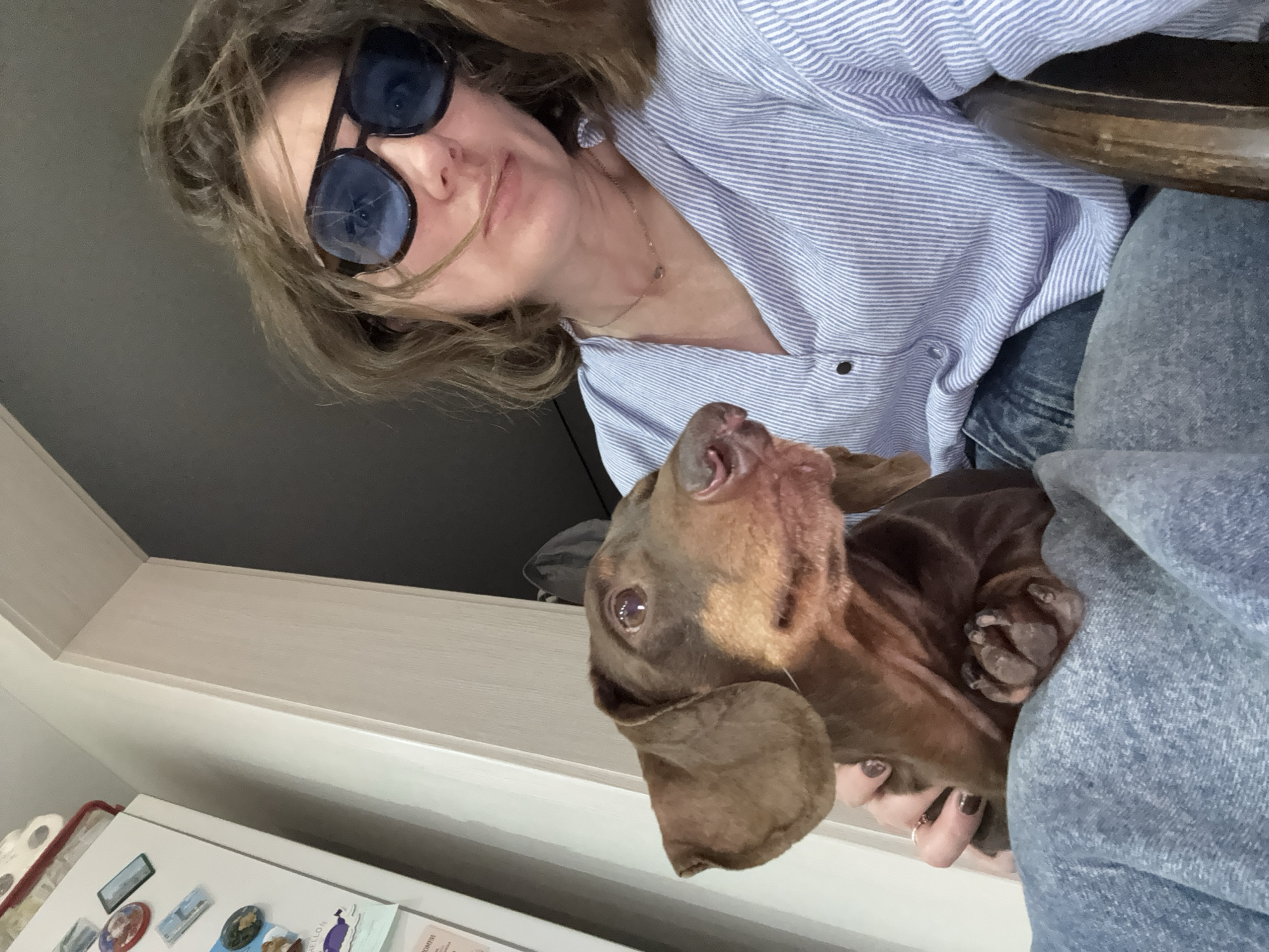 An adult female, wearing oversized blue-tinted sunglasses, a light blue and white striped button-down shirt, and blue denim jeans, is seated indoors, taking a self-portrait. Her light brown hair is disheveled. She wears a thin necklace with a small pendant and her fingernails are painted dark. Resting on her lap is a chocolate and tan Dachshund, which is looking towards the upper right of the frame. The female's left hand is visible, gently holding the dog. In the background, to the left, is a white refrigerator adorned with multiple magnets, including a round red one, a rectangular green one, and a circular green one, along with a purple cutout shape. Above the refrigerator, a white roll (likely paper towels) is visible. A light-colored wall and doorframe segment are positioned behind the subjects, separating the kitchen area from a darker, possibly gray, background or room beyond. A portion of a wooden chair arm is visible on the far right. The scene is located in Chaikovsky, Russia.