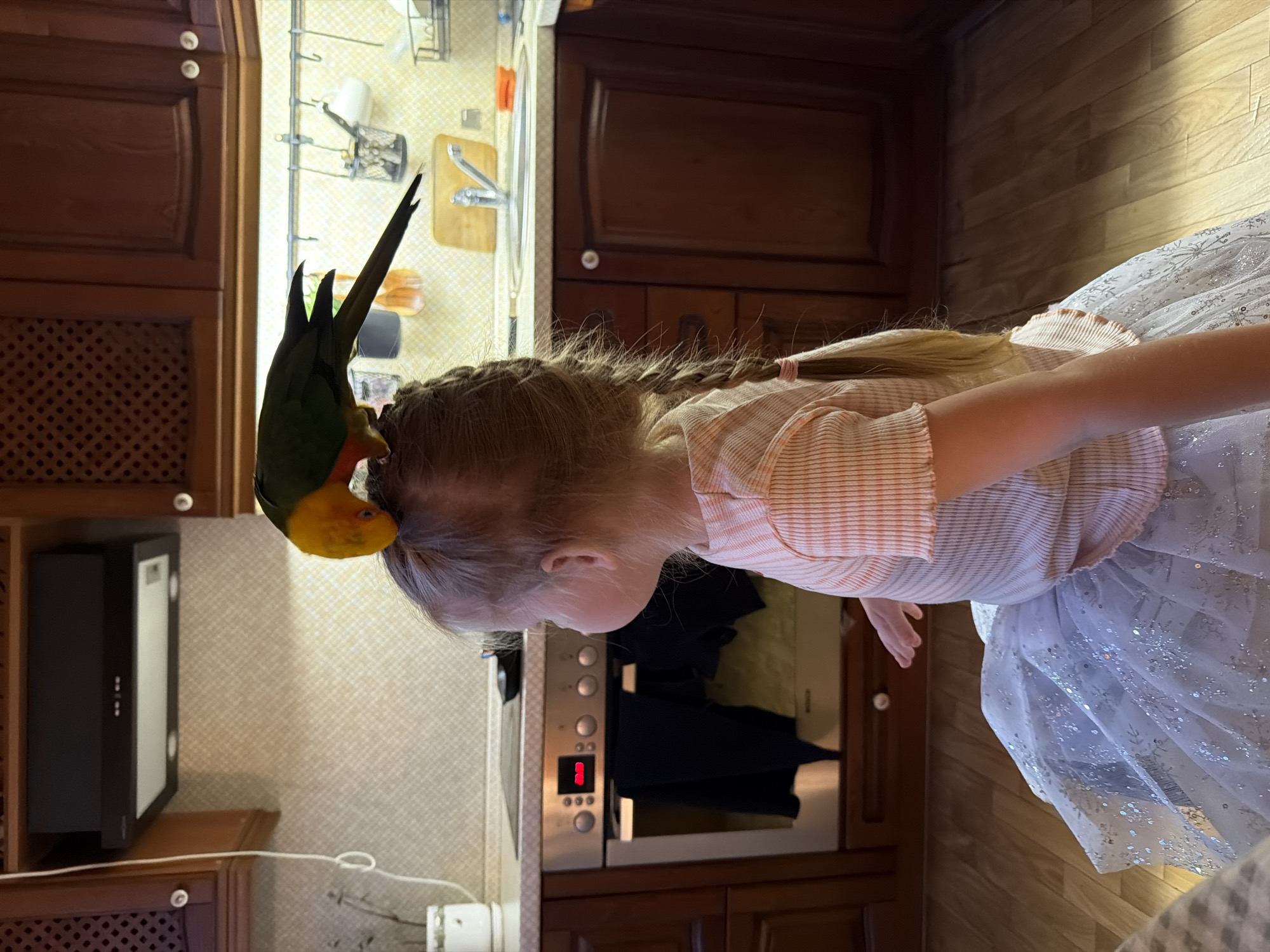 The image shows a young girl with blonde hair braided in pigtails in a kitchen in what is reported to be Khimki, Russia. She is wearing a pink and white striped shirt and a glittery, light-colored tulle skirt. Perched on her head is a colorful parrot with a yellow head, green body, and long tail feathers. The kitchen features wooden cabinets, a stainless steel microwave and oven, and a patterned backsplash. A variety of kitchen items are visible near the sink area. The floor is wooden.