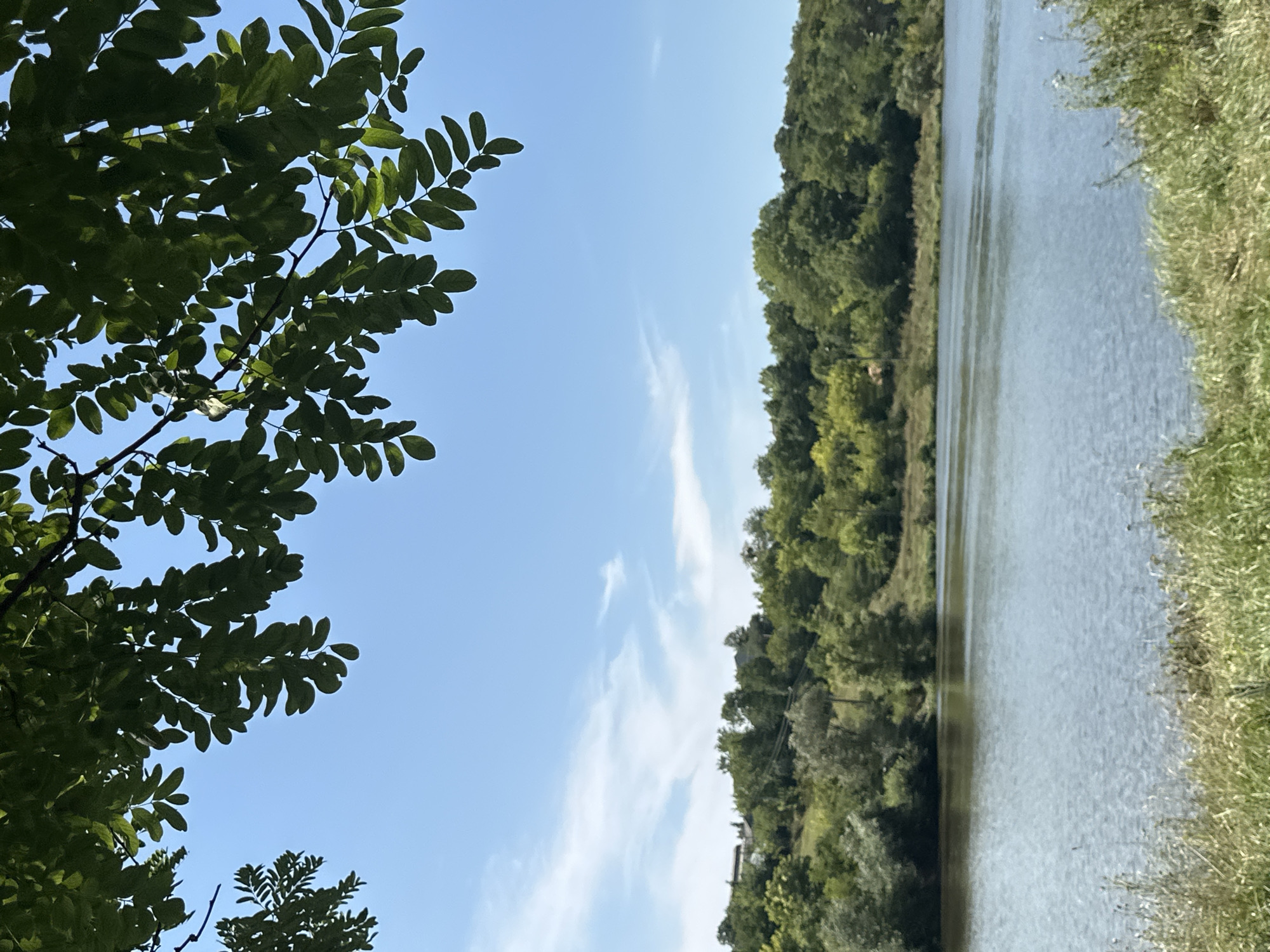 An outdoor, eye-level, vertical shot captures a tranquil waterscape with a lush, tree-lined hill in the background and foliage in the foreground. The scene is set in the city of Makiv, Ukraine. In the foreground, out-of-focus green and brown grass is visible. Overhead, the dark green leaves of a tree branch hang into the frame, obscuring the clear blue sky, which is punctuated by wispy white clouds. Beyond the grassy bank, a wide expanse of calm water stretches horizontally across the middle of the image. The water reflects the blue sky and the green of the distant trees, creating a peaceful, serene atmosphere. On the far bank, a gentle hill is covered with a dense collection of trees in various shades of green, with some lighter green foliage mixed in. A few indistinct structures, possibly houses, can be discerned among the trees on the crest of the hill. The overall impression is one of natural beauty and quietude.