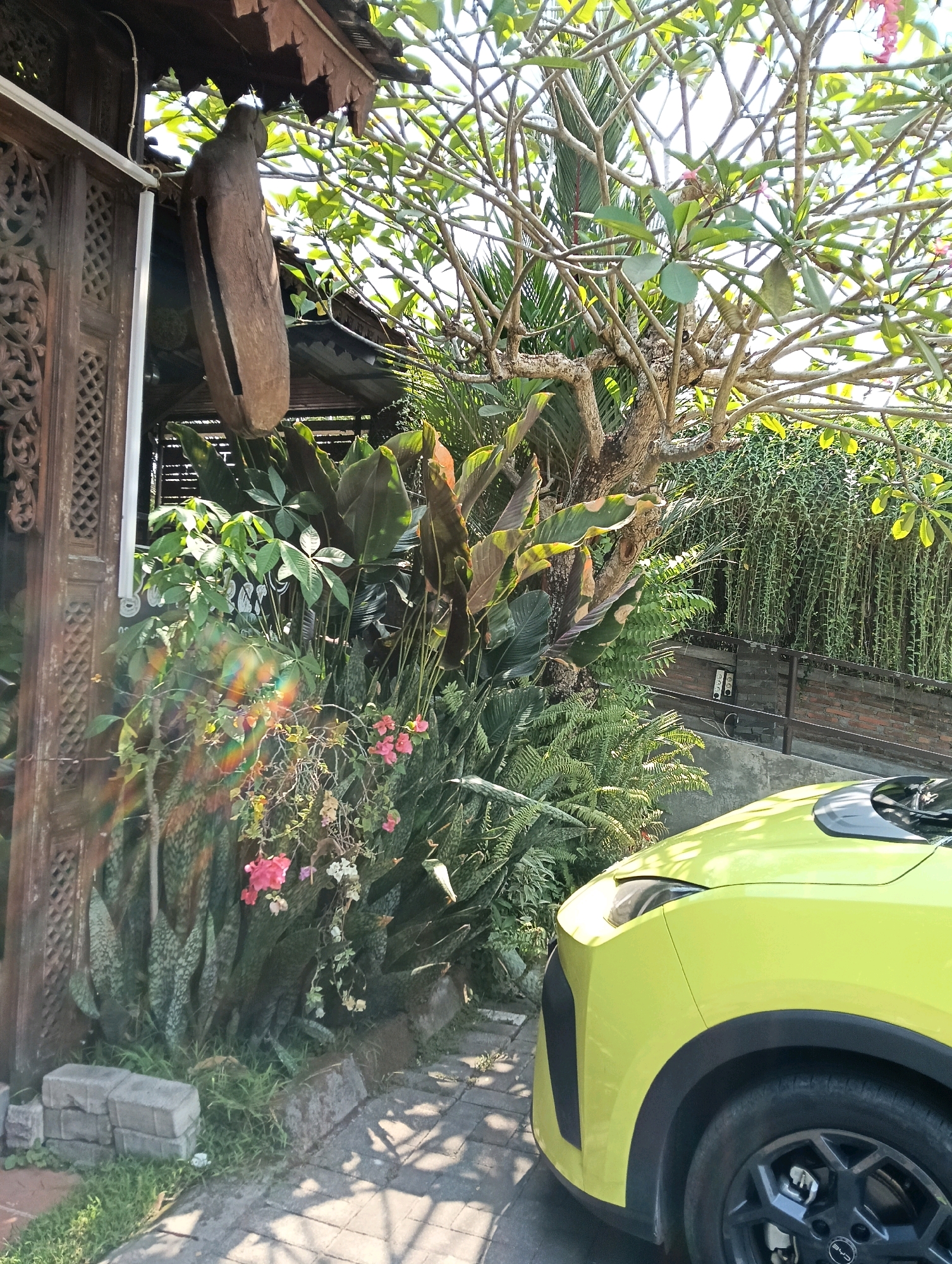 The image depicts an outdoor scene in Papahan, Indonesia. A bright yellow electric car is parked on a paved driveway, partially obstructing a lush garden. The garden features a variety of plants, including tall, broad-leafed foliage, ferns, and smaller flowering plants with pink and white blossoms. A wooden structure with intricate carvings stands to the left of the garden, with a piece of carved wood hanging from it. In the background, a brick wall is visible, with a fence and cascading green plants overhead. The sunlight casts shadows on the pavement, suggesting a bright day.