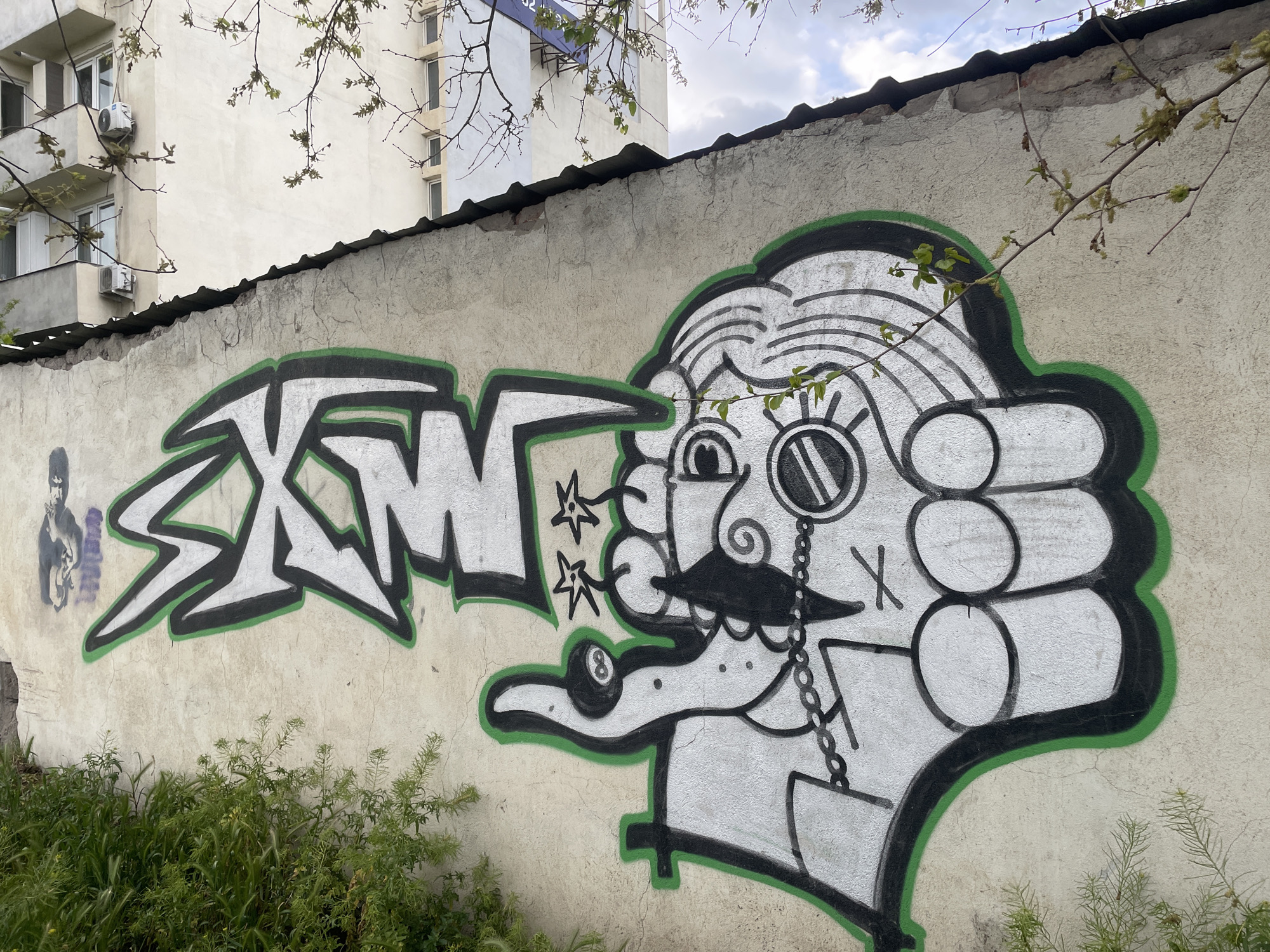 A wall in Tbilisi, Georgia, displays graffiti art. The graffiti includes the word "SXM" in white letters with black outlines, and an abstract drawing of a man's head with a monocle and handlebar mustache. The drawing also features an 8-ball in the mouth area. The graffiti is outlined in green, and some green foliage is growing at the base of the wall. A building is visible in the background. A stencil of a male figure with a guitar is visible to the left of the graffiti. The wall's surface is aged and slightly cracked.