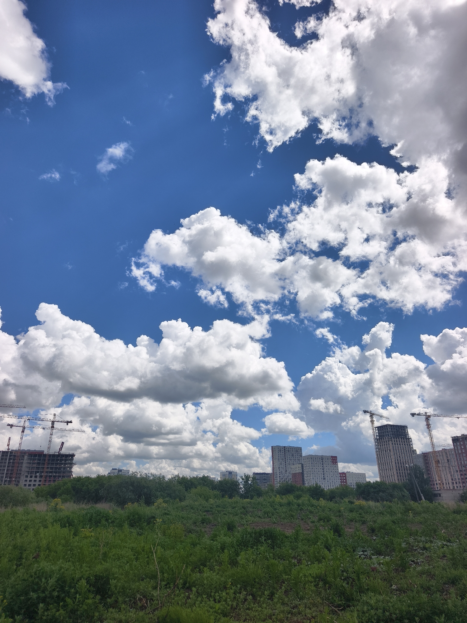 The image shows a landscape in Tyumen, Russia, featuring a field of green vegetation in the foreground. In the background are several buildings under construction, evidenced by the presence of cranes. The sky is mostly blue, filled with white cumulus clouds. The buildings are a mix of constructed and under-construction apartment blocks, of varying heights. There are no visible people or animals in the image. The scene is daytime, with bright sunlight.