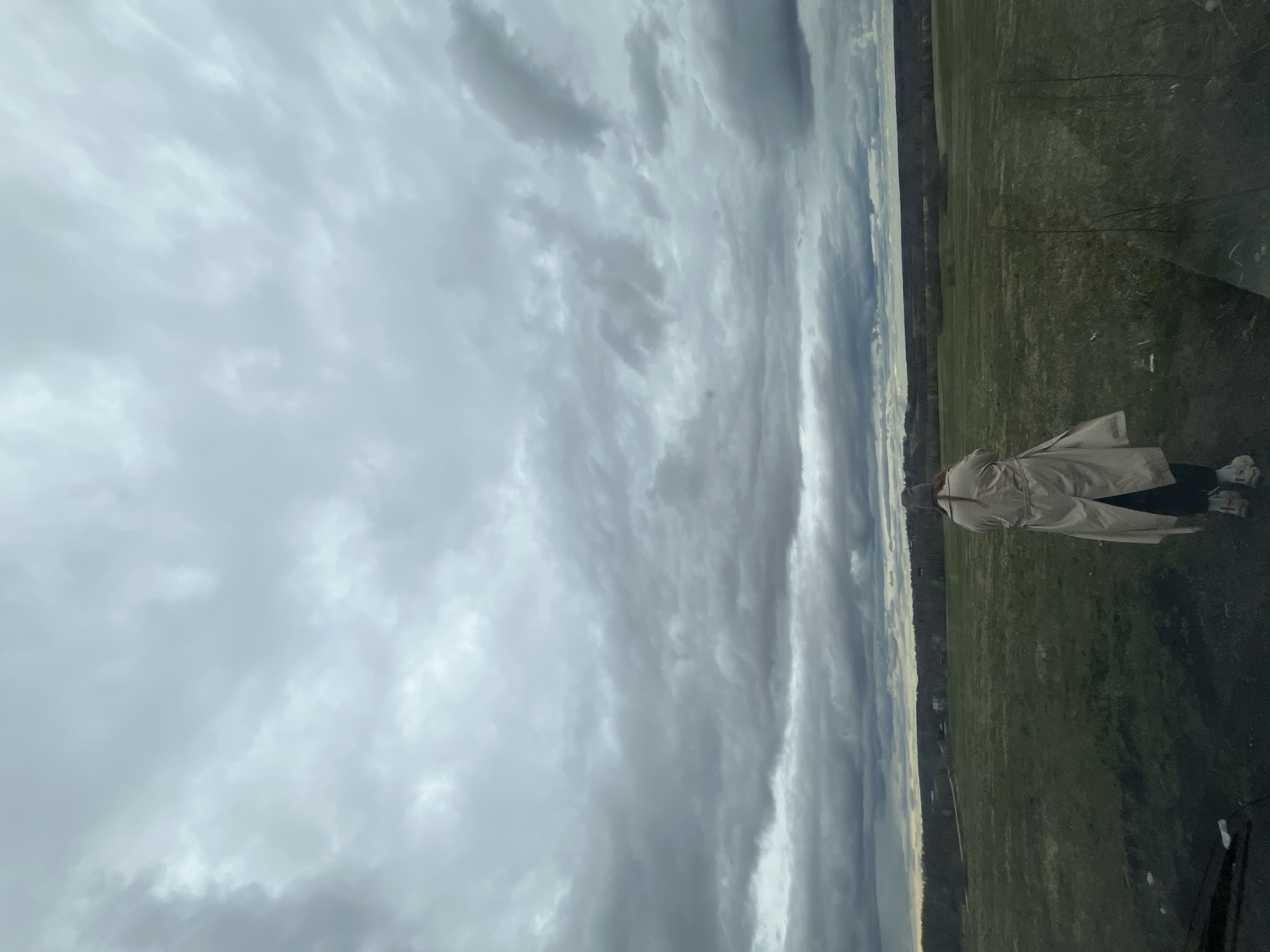 The image depicts a person standing in a grassy field under a cloudy sky. The field extends to a line of trees and buildings in the distance, possibly within the city of Zubovo, Russia. The person is wearing a tan trench coat and white sneakers. The overall scene appears outdoors on an overcast day.