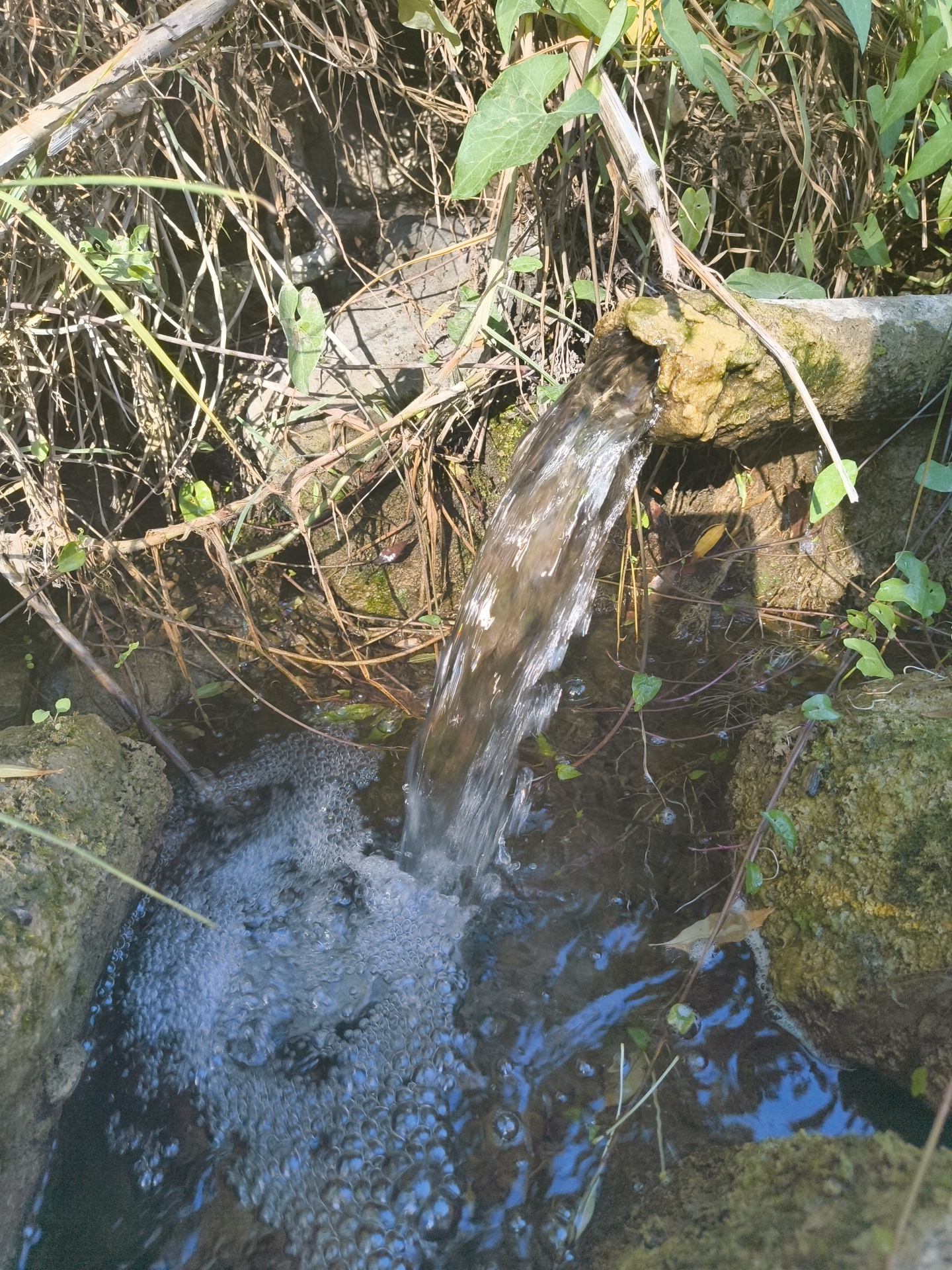 A close-up, overhead shot shows water gushing from a horizontal, moss-covered pipe. The water is clear and appears to be flowing into a shallow pool of water. The pool is surrounded by rocks and vegetation. The scene appears to be outdoors, possibly in a natural setting or a park. There are no people or animals visible in the image. The location is identified as being in the city of Cascais, Portugal.