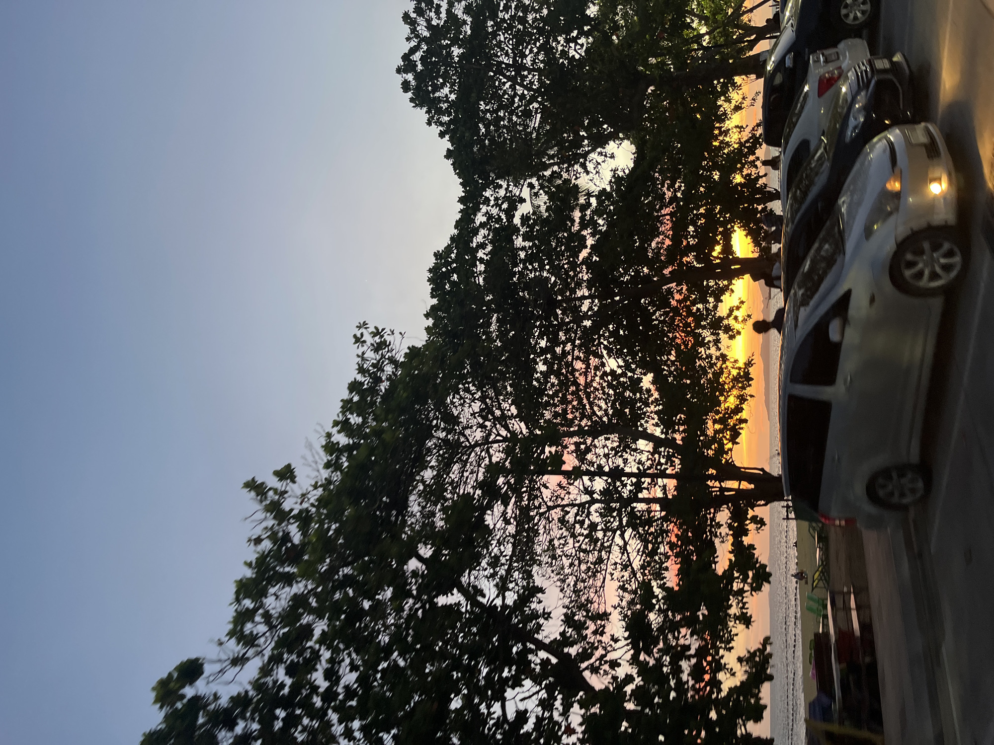 The image shows a coastal scene in Pattaya City, Thailand, taken at dusk or dawn. The sky transitions from a light blue to a soft pink and orange near the horizon, partially obscured by silhouetted trees with dense foliage. The sun is either rising or setting, creating a bright glow between the tree branches. A row of parked cars is visible along the right side of the frame, with varying colors and models, and at least one with its headlights on. Beyond the trees, a stretch of water can be seen, with faint figures of people visible along the shoreline. There appears to be some seating and possibly other structures along the water's edge. The image is slightly rotated, giving the impression of looking upward from the ground.