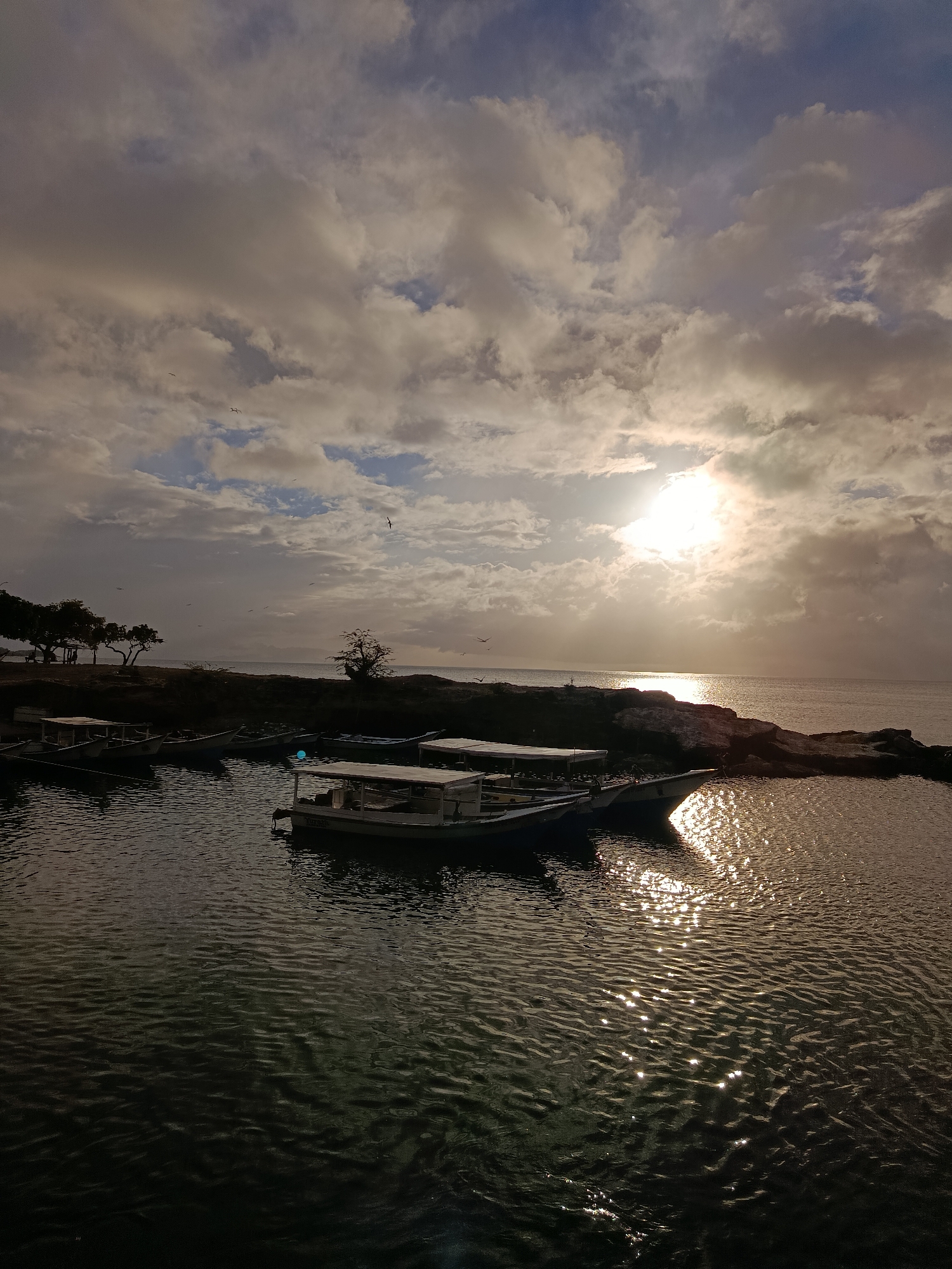 The image depicts a serene coastal scene in Juan Griego, Venezuela, characterized by a tranquil harbor filled with several small, traditional fishing boats. The boats are moored near a rocky shoreline, with some featuring simple canopies, suggesting they are used for local fishing or transport. The water is calm, reflecting the soft, golden light of the sun, which is partially obscured by scattered clouds. The sky transitions from a bright, hazy sunlit area over the sea to a more diffused, cloudy expanse above. Several birds are visible in flight, adding a dynamic element to the otherwise still environment. The background reveals a low-lying, vegetated coastline with a few sparse trees and hints of structures, indicative of a small coastal settlement. The overall atmosphere is peaceful and suggestive of early morning or late afternoon light.