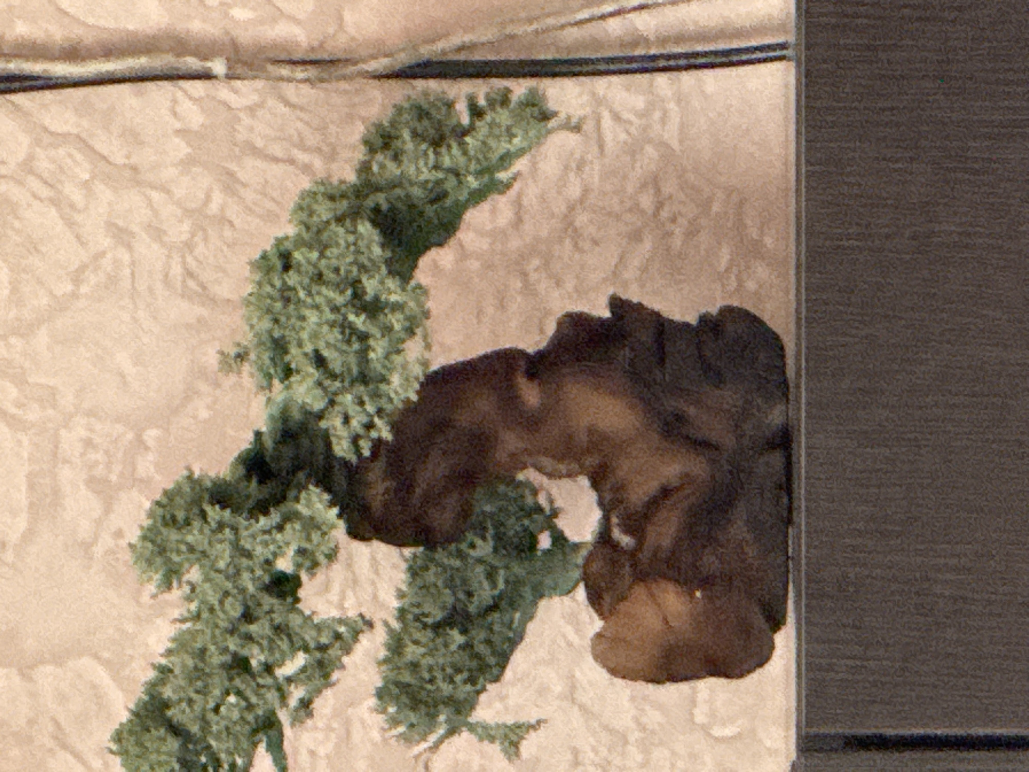 The image displays a close-up of a decorative, artificial bonsai tree with dark brown, gnarled roots and green foliage. The tree is positioned on a dark gray surface, likely a shelf or table, against a textured, pale orange background. The background exhibits subtle variations in tone and appears to be a wall or a backdrop. To the right of the bonsai, a thin, vertical dark line is visible, possibly a part of a frame or a decorative element. The lighting casts soft shadows and highlights the textured surfaces of the bonsai and the background. There are no people or animals present in the image, and no specific location within Qonaev, Kazakhstan, can be identified from the provided visual information.