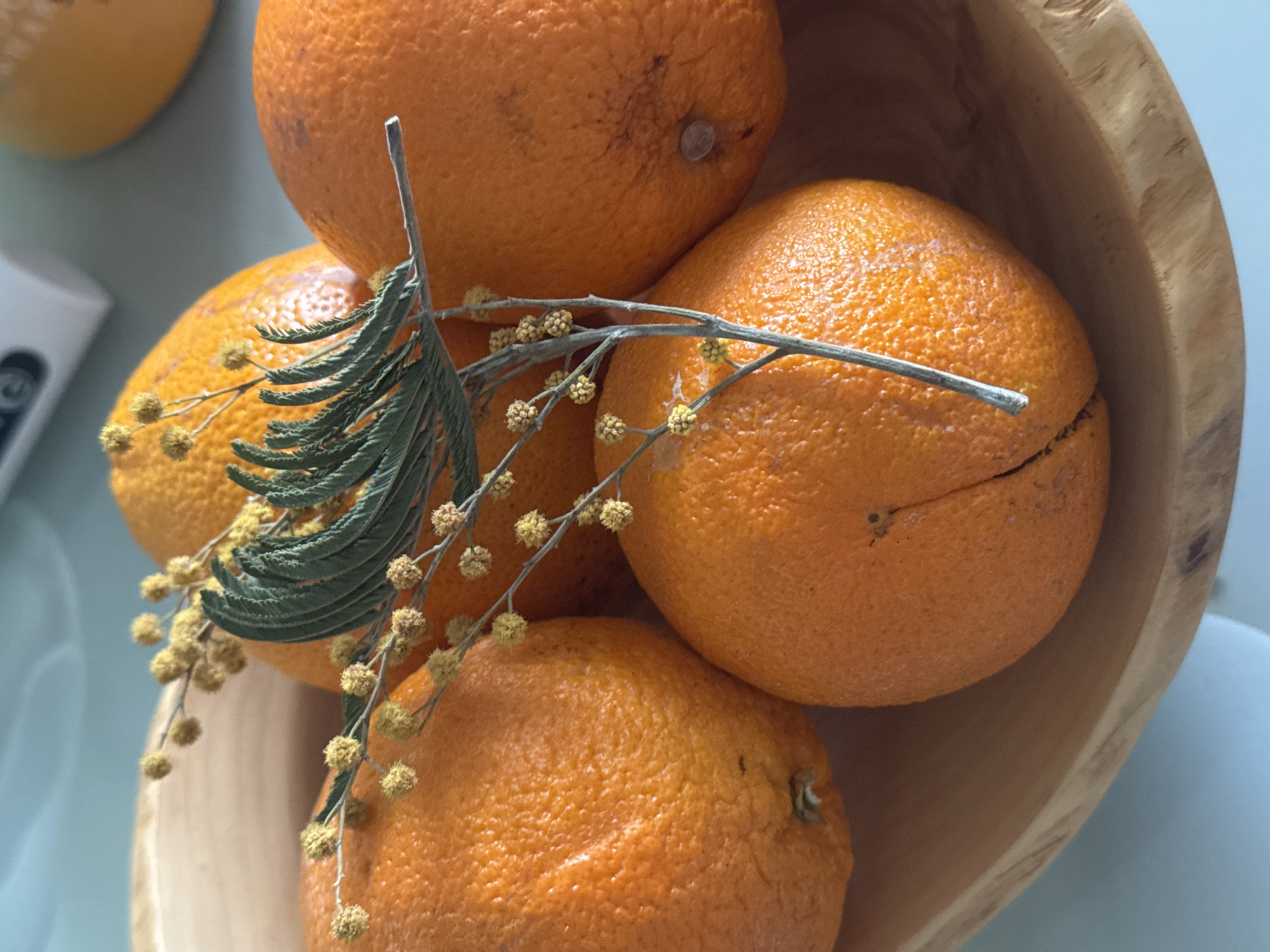 A close-up shot depicts a wooden bowl filled with several oranges, accented with a branch of mimosa, set against a light blue surface. The composition is centered on the bowl, with the oranges varying in size and texture, some showing slight imperfections on their surfaces. The mimosa branch adds a natural, decorative element to the arrangement. The background is blurred, directing focus onto the oranges and mimosa. The setting is indoors, suggested by the controlled lighting and the domestic nature of the objects. The location and city are Unknown, Unknown.