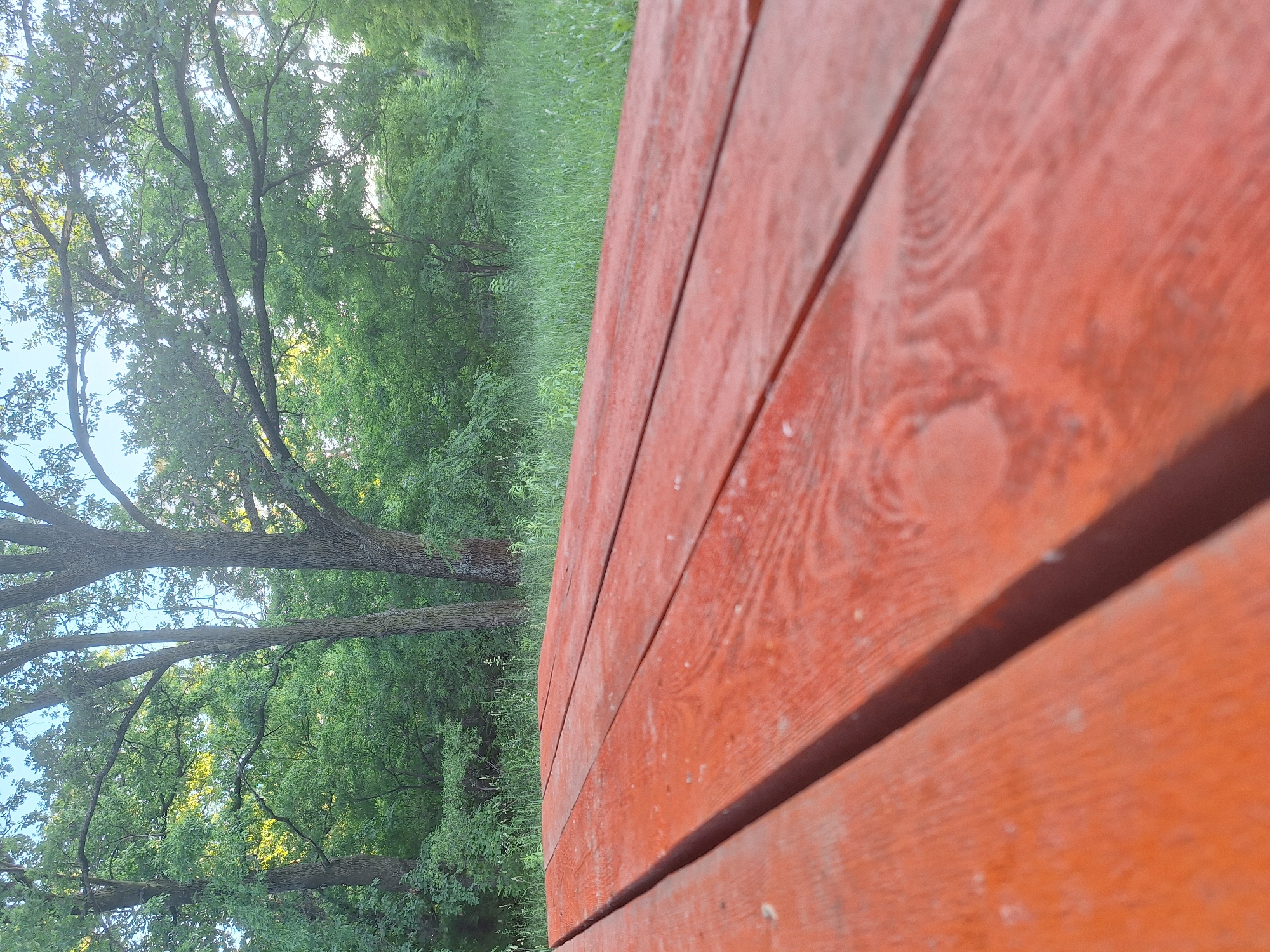 The image shows a close-up of a weathered orange wooden picnic table in the foreground. The table's planks are oriented horizontally and run diagonally across the frame, with a shallow depth of field causing the background to be blurred. Beyond the table, a lush green grassy area is visible, dotted with tall grass and wildflowers. In the mid-ground and background, a dense forest of deciduous trees stands tall, their leaves a vibrant green, suggesting a warm season, likely spring or summer. The sky above is a clear light blue, with dappled sunlight filtering through the tree canopy, casting a soft glow on the scene. The overall impression is of a peaceful, natural setting, likely a park or a quiet outdoor recreational area. The location is identified as Sviatopetrivske, Ukraine. There are no people or animals present in the image.
