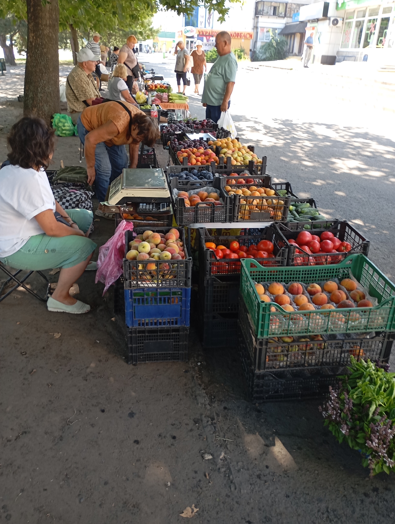 The image depicts an outdoor market scene in Horishni Plavni, Ukraine, on a sunny day. Several people are present, seemingly engaged in commerce. In the foreground, a woman wearing a white t-shirt and green shorts is seated on a chair, facing away from the camera, with her arms resting on her lap. To her right, a scale sits on a table.
Behind the seated woman, a person in an orange t-shirt and blue jeans is bent over, interacting with the items on display. Further back, other individuals are visible, some standing and some appearing to be customers or vendors. Various fruits and vegetables, including peaches, plums, tomatoes, and cucumbers, are arranged in plastic crates, neatly lined up on the ground and on tables. The market appears to be set up along a street, with buildings and trees forming the backdrop. The ground is paved with asphalt or a similar material, and there are shadows cast by the overhead foliage, indicating dappled sunlight.