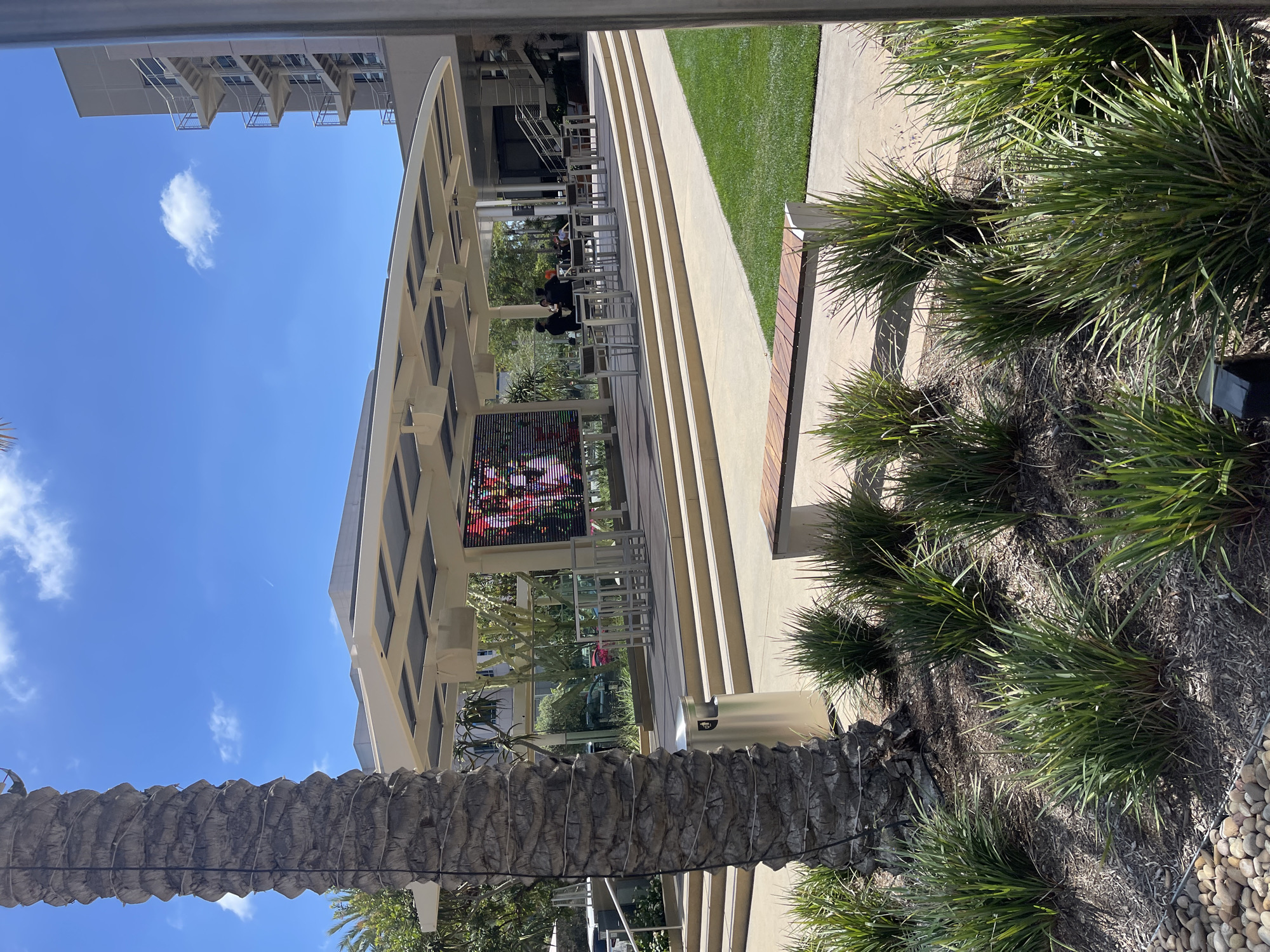 The image shows an outdoor view, likely in Irvine, California, United States. An open-air structure with a large video screen displaying vibrant colors sits adjacent to tiered seating and a grassy area. Tables and chairs are set up, and people are visible, though details are difficult to discern. A palm tree trunk is prominent in the foreground, with shrubs and ground cover visible on the right side. The sky is blue, with a few clouds. A building with multiple stories and balconies is visible in the distance.