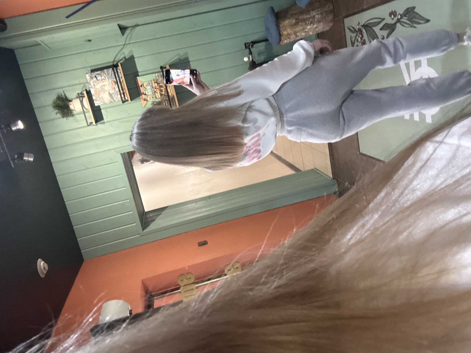 A person is standing indoors, taking a picture with a smartphone. The walls are painted in green and orange hues. There are framed items on the wall, including what appears to be a plant. The person is wearing a white sweatshirt and grey sweatpants. The scene is located in the city of Unknown, Unknown.