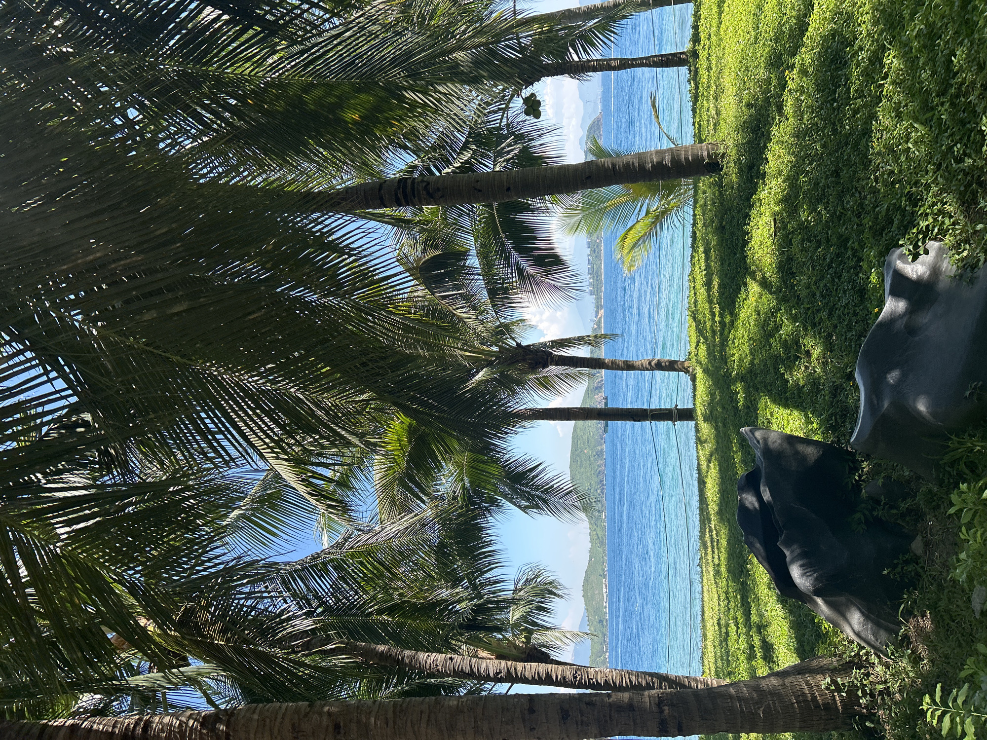 The image depicts a tropical seaside scene framed by tall palm trees with their fronds casting dappled shadows on the ground. In the foreground, two large, dark, amorphous sculptures sit amidst lush green grass and some smaller plants. Beyond the grassy area, a clear blue ocean stretches towards a distant coastline dotted with green hills and buildings. The sky above is a bright, cloudless blue. The scene appears to be a tranquil park or garden area adjacent to the beach. The location is identified as Nam Nha Trang Ward, Vietnam.