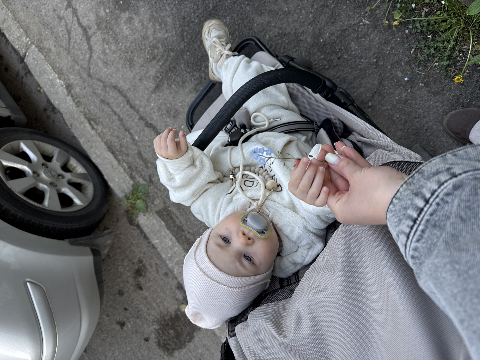A baby wearing a white outfit and a knitted cap is lying in a stroller on a grey paved surface, presumably a sidewalk in an urban area. The baby has a pacifier in its mouth and is holding a small sprig of blue forget-me-not flowers given by a person standing nearby whose hand is visible in the image. Part of a silver car wheel and bumper is visible on the left. The environment includes some sparse greenery along the sidewalk. The photo was taken in Vladimir, Russia.