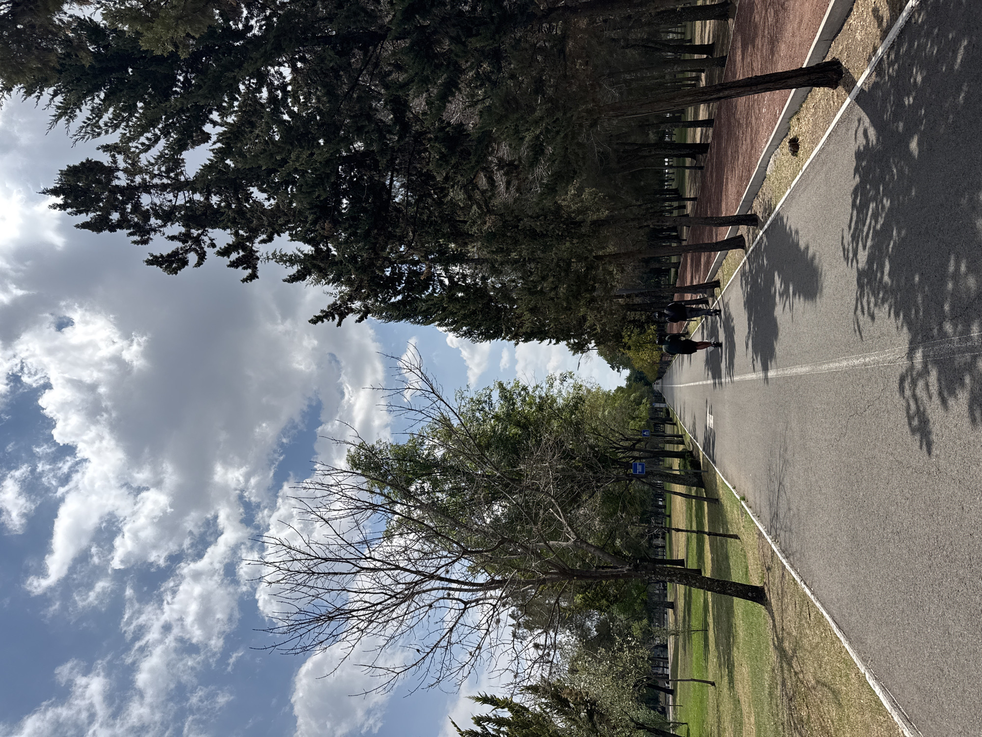 The image depicts a long, straight paved road flanked by rows of trees, likely located in a park or recreational area. The scene is illuminated by daylight under a sky with scattered clouds. The road has a white line marking the edge, separating it from a strip of greenery on one side and a reddish surface on the other. Shadows of trees are cast across the road. People can be seen walking or running along the road. Based on the tree types and overall landscape characteristics, the location is likely in the city of Puebla, Mexico.