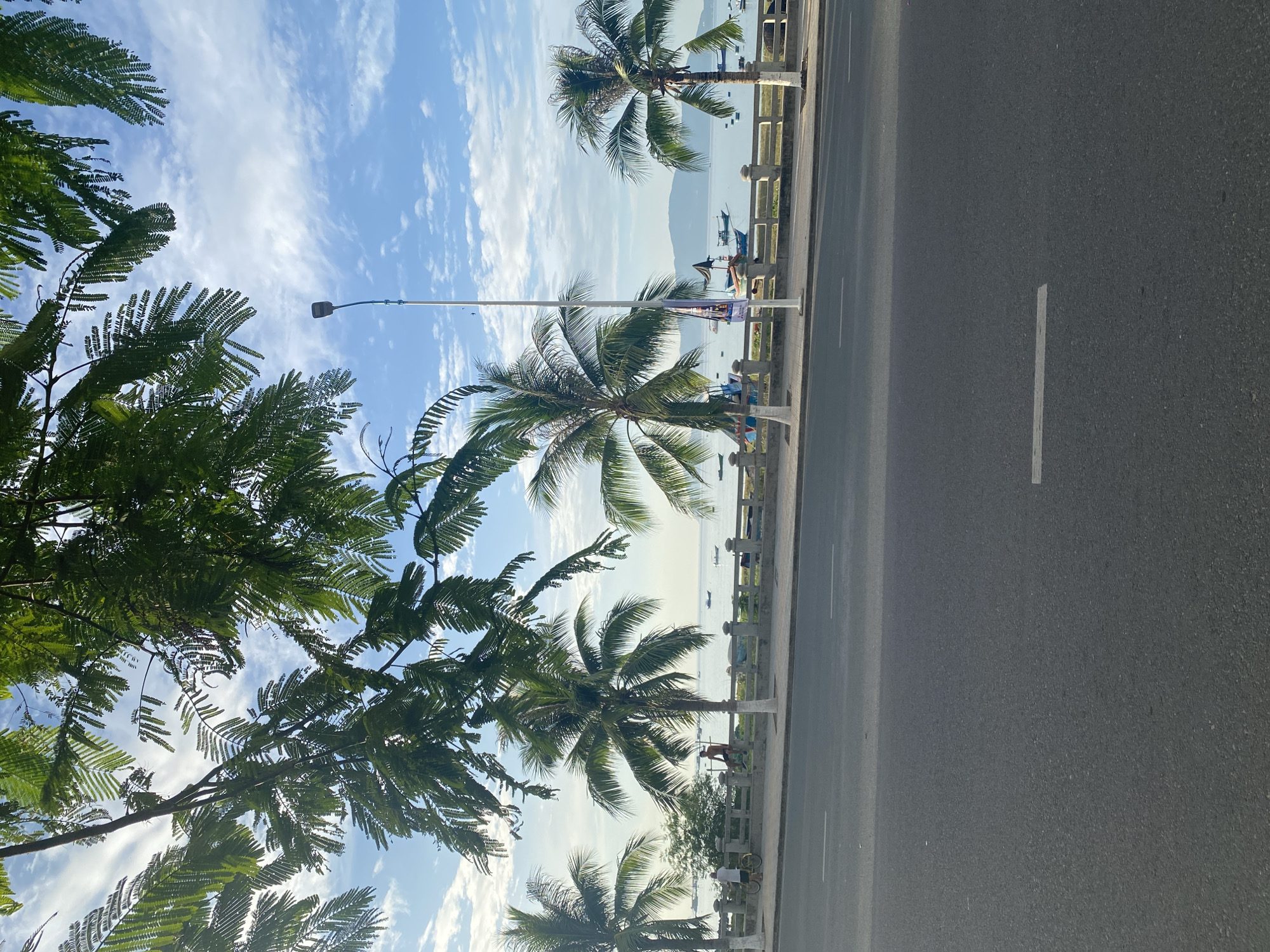 The image depicts a coastal scene in Nha Trang, Vietnam, likely along Tran Phu Street. In the foreground, an asphalt road with white lane markings stretches across the frame. A pedestrian walkway borders the road, separated by a low concrete railing adorned with white-painted posts. Beyond the railing, several coconut palm trees are visible, their fronds arching towards the sky.
The middle ground features the ocean, dotted with numerous small fishing boats. In the distance, a mountainous landmass forms the horizon. The sky is a clear blue, punctuated by scattered white clouds.
On the walkway, a few individuals are present. To the left, a person with a bicycle stands near the railing. Further along, another person is seated on the railing. The overall atmosphere suggests a tranquil morning or afternoon in a popular seaside city. The light suggests it is daytime.