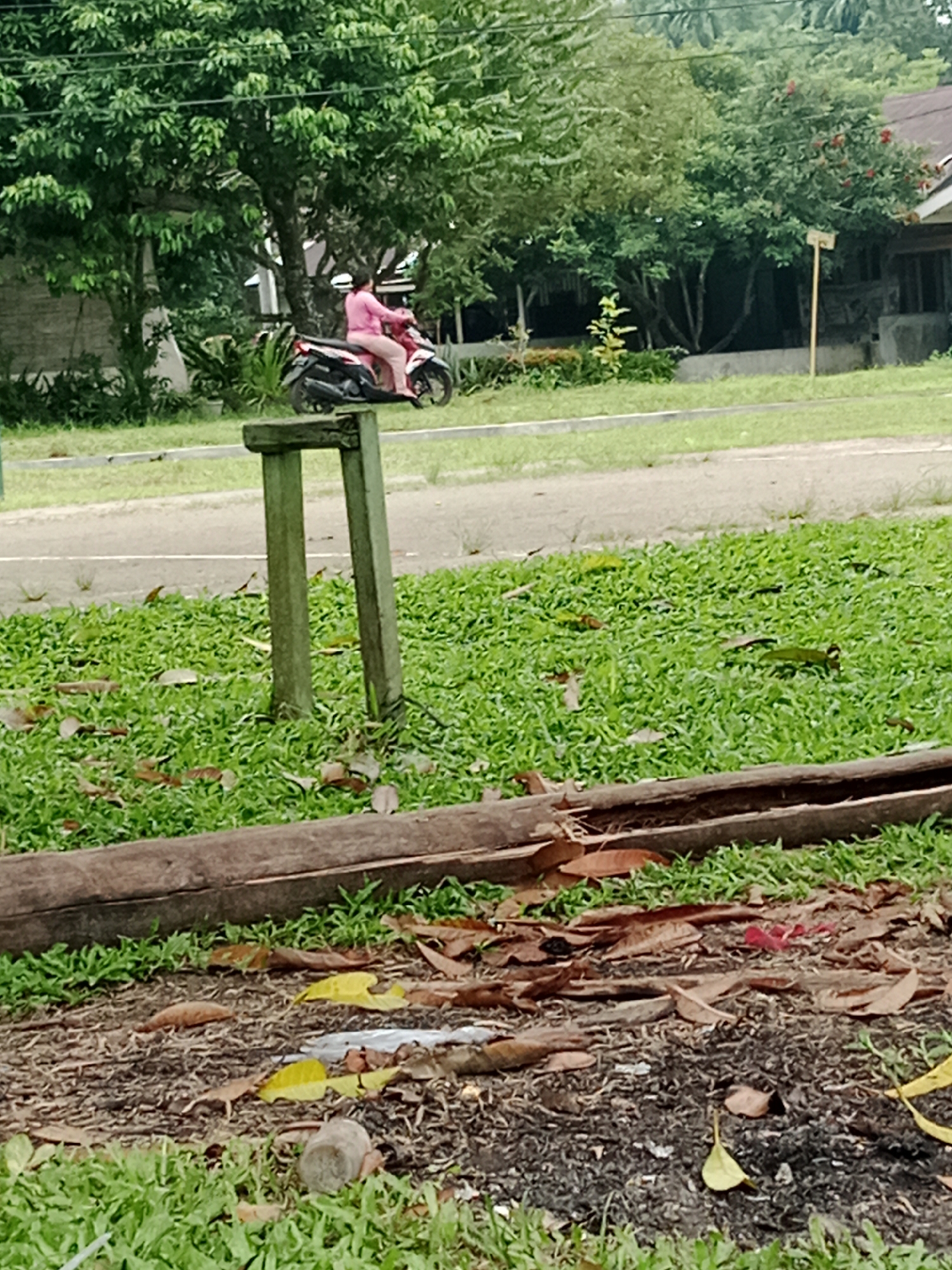 In the City of Binjai, Indonesia, a person wearing a pink shirt and pants is riding a motorcycle. The motorcycle is red and black. The person is traveling on a paved road, which is bordered by a grassy area with fallen leaves. In the background, there are trees and a building with a brown roof. A wooden post with a green frame stands in the grassy area. A long, weathered piece of wood lies horizontally in the foreground.