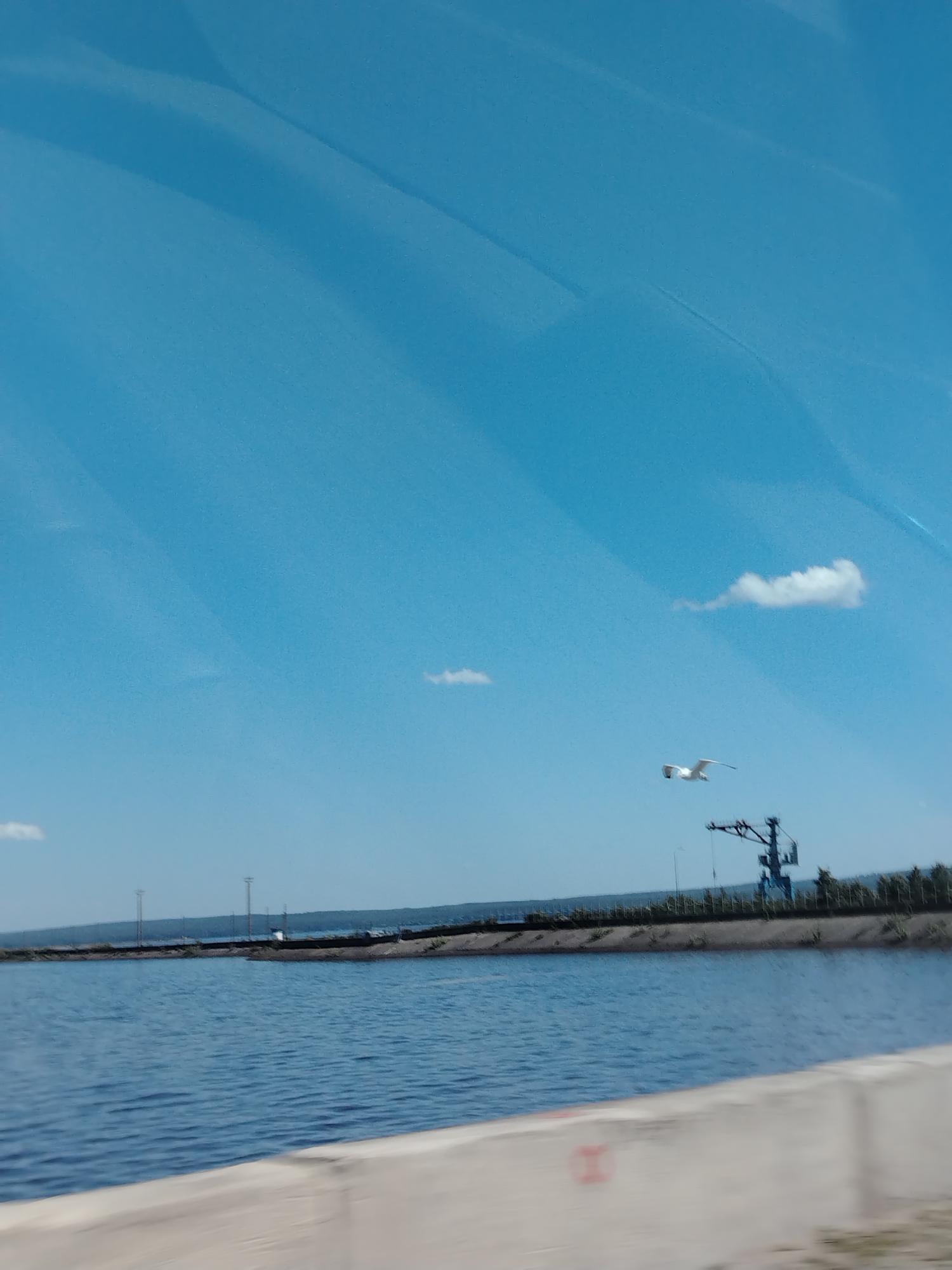 The image shows a body of water with a concrete barrier in the foreground. Beyond the water is a strip of land with green vegetation, a blue crane, and power lines. A white bird is flying in the blue sky. The location is likely in or near Chaikovsky, Russia, based on the presence of the crane and power lines, which are common features of industrial areas.