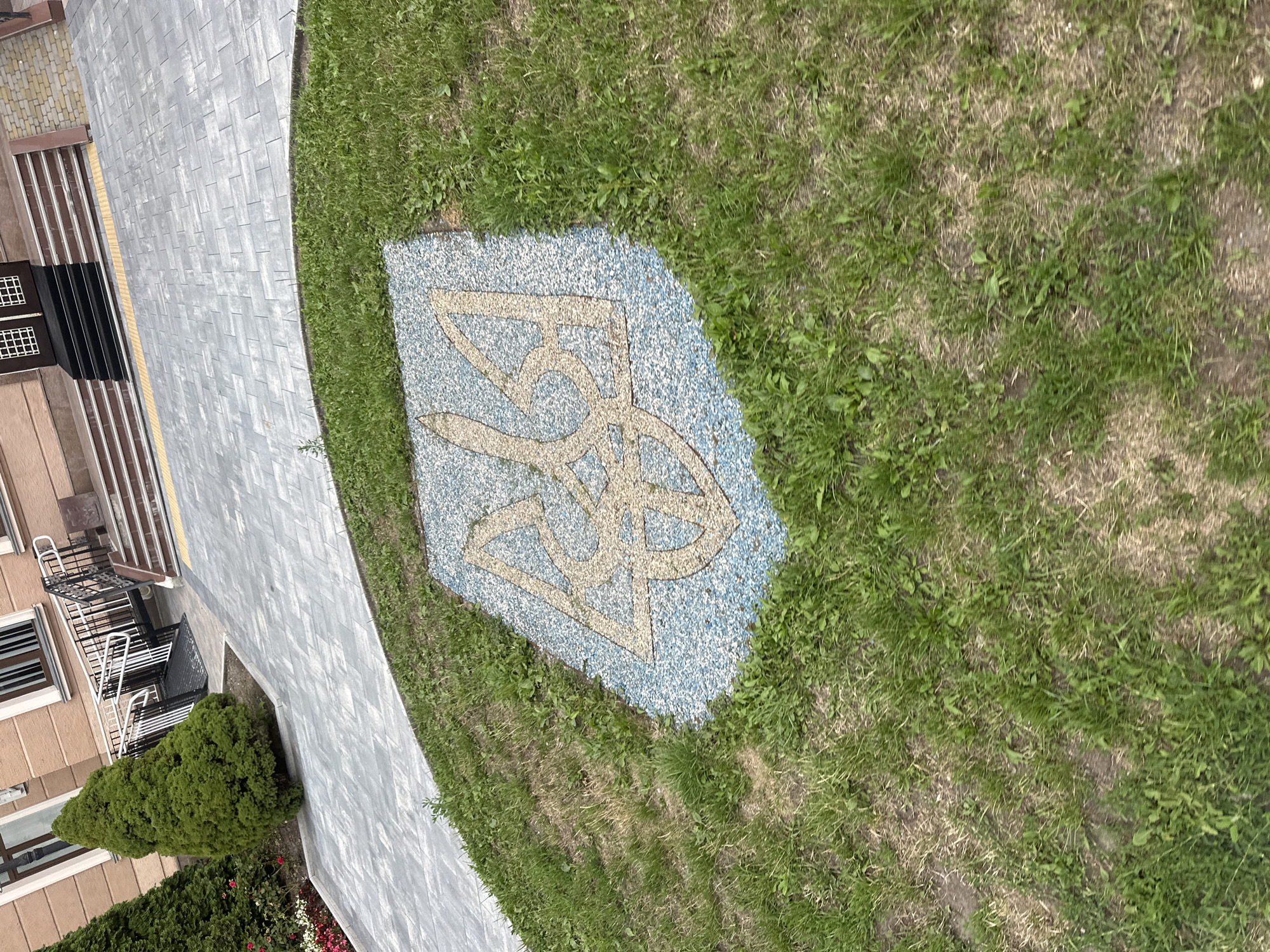A close-up, high-angle, eye-level shot captures a portion of a paved walkway and a grassy area with a decorative emblem embedded within it. The emblem, shaped somewhat like a shield, features a stylized trident in a light brown or gold color set against a background of blue and white speckled material. This emblem is situated on a gently sloping grassy mound. In the background, a building with a light brown facade and dark-trimmed windows is visible, along with a set of stairs leading up to an entrance. Adjacent to the building are two evergreen trees and a ramp with railings, suggesting accessibility features. The paving stones in the walkway are rectangular and arranged in a pattern, with a yellow tactile paving strip running along the edge. The scene appears to be an outdoor public space, possibly in Ternopil, Ukraine, given the prominent display of the trident, a national symbol. No people are visible in the image.