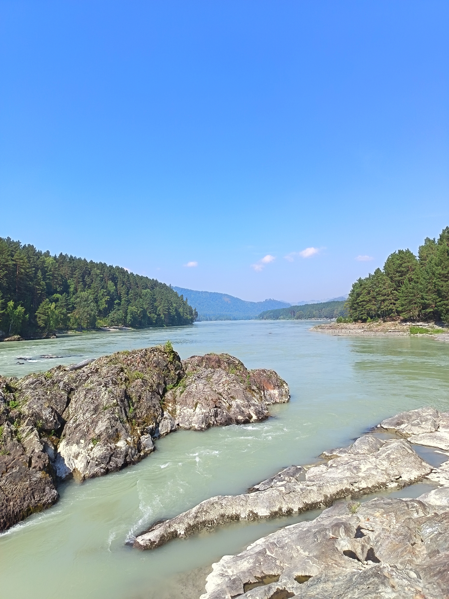 This image depicts a scenic view of the Katun River in Manzherok, Russia. The river, characterized by its milky turquoise water, flows through a landscape dominated by lush green coniferous forests that blanket the rolling hills. Large, rugged rock formations are prominent in the foreground, with some submerged in the water, creating gentle rapids. The sky is a clear, vibrant blue with a few wispy clouds. The scene is tranquil, capturing the natural beauty of the Siberian wilderness. There are no people or man-made structures visible in the frame, emphasizing the pristine natural environment. The lighting suggests it is daytime, likely late morning or early afternoon, given the brightness and clarity of the sky and the shadows cast by the rocks.