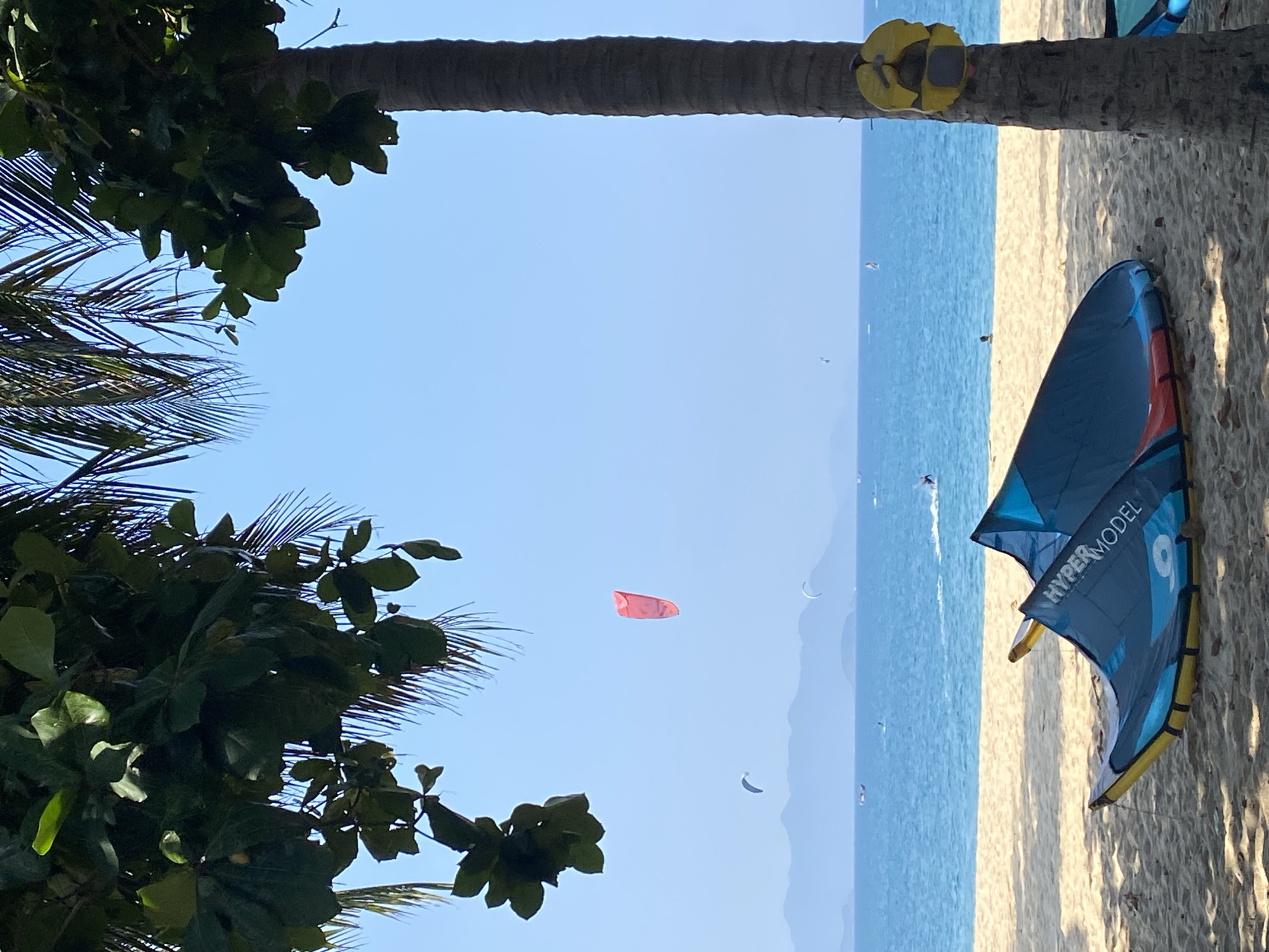 The image captures a sunny day at a beach in Nha Trang, Vietnam. The foreground is dominated by a sandy beach with two kiteboards lying on the sand. The kiteboards are blue and yellow, with the word "HYPERMODEL" visible on one of them. To the right, a palm tree stands tall, with a yellow object attached to its trunk.
The middle ground features the turquoise waters of the sea, where several kite surfers are visible. A prominent red kite is high in the sky, and other kites in various colors are scattered across the horizon. The water is calm with gentle waves.
In the background, a line of distant, hazy mountains forms the horizon. The sky is a clear, vibrant blue. Lush green foliage from trees hangs over the top of the image, casting shadows on the sand in the foreground. The overall scene conveys a sense of leisure and outdoor activity on a beautiful coastal day.