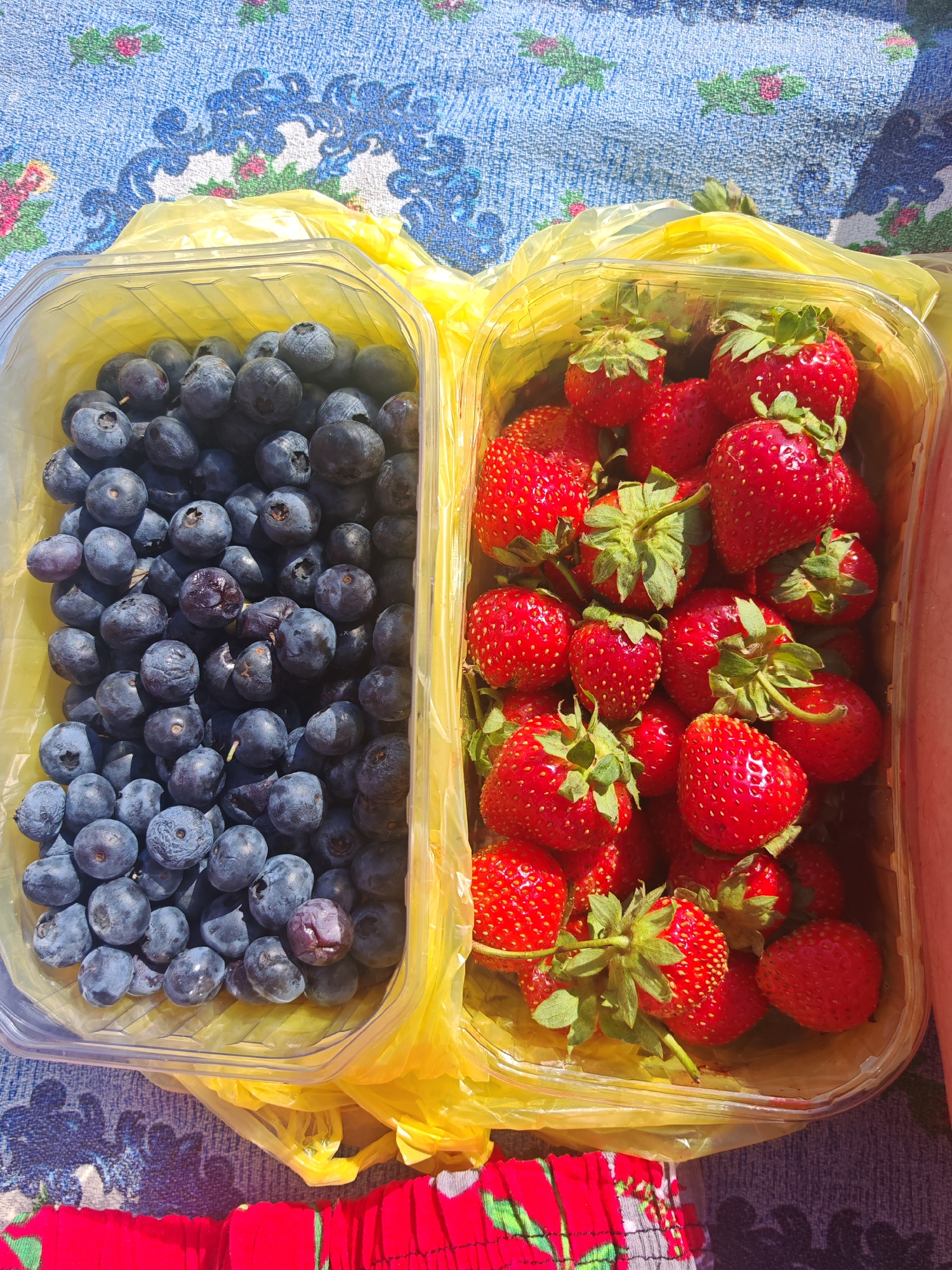 Two clear plastic containers of fruit, one filled with blueberries and the other with strawberries, are placed on a blue and white patterned tablecloth. Both containers are partially enclosed by yellow plastic bags. The image appears to have been taken outdoors on a sunny day, as evidenced by the bright lighting and shadows. The tablecloth has a floral design. In the lower portion of the image, a red fabric with green and white patterns is visible, suggesting a person is present. The scene does not provide specific details that would allow for pinpointing a precise location within Anapa, Russia, beyond it being an outdoor setting with a tablecloth.