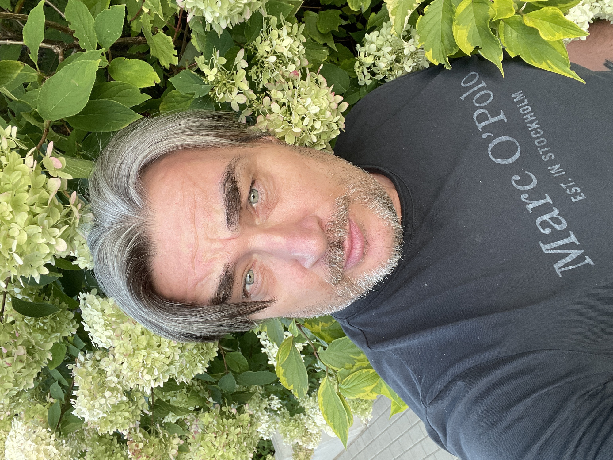 A close-up, selfie-style photograph captures a middle-aged man with graying hair and a light beard. He is wearing a black t-shirt with the words "Marc O'Polo EST. IN STOCKHOLM" printed on it in a light gray font. The man is positioned in front of a lush backdrop of green foliage and pale, greenish-white flowers, likely hydrangeas. His expression is neutral, and he is looking directly at the camera. The lighting suggests an outdoor setting, possibly a garden or park. The background hints at a tiled pathway to the left, suggesting a public or landscaped area.