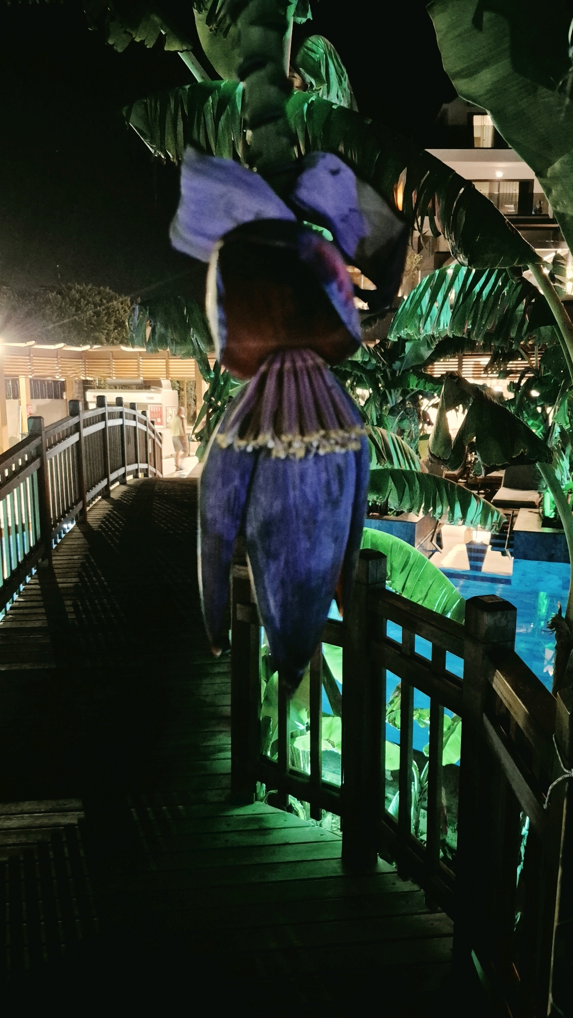 The image depicts a night scene on a wooden bridge, likely located in Serik, Turkey, as indicated. In the foreground, a large, dark purple banana flower hangs prominently, obscuring a portion of the view. The bridge itself is constructed of dark wood, with a railing on the right side. Beyond the bridge, a swimming pool with bright blue water is visible, surrounded by lush green foliage, some of which appears to be banana leaves illuminated by green lighting. In the background, there is a building with illuminated windows and what appears to be an outdoor seating area with lounge chairs. A person in a light-colored shirt and shorts is walking across a covered walkway in the distance, to the left of the bridge. The lighting in the scene is predominantly artificial, casting shadows and highlighting the vibrant colors of the pool and foliage.