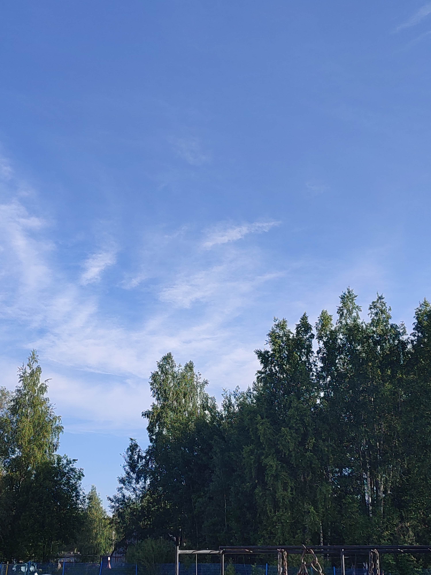 The image captures an outdoor scene dominated by a clear blue sky and a dense line of trees. The upper two-thirds of the vertical frame are filled with the expansive blue sky, which features scattered, wispy white clouds stretching horizontally across the frame. These clouds appear thin and elongated.
Below the sky, a varied collection of deciduous trees forms a prominent dark green mass, stretching across the width of the image. The tree line is high, with their leafy canopies occupying the lower third of the frame. On the left side, a taller, lighter green tree stands out against the darker line. The trees on the right appear denser and have a darker hue. Some lighter-colored tree trunks are visible between the foliage, especially towards the right.
At the very bottom of the image, indistinct structures are visible. These include what appears to be a dark-colored metal frame or fence-like structure, possibly part of a playground or an industrial area. There are also hints of smaller buildings or structures nestled within the trees further back.
The lighting suggests it is daytime, likely a bright morning or afternoon, with no harsh shadows indicating a low sun. The overall impression is one of a natural landscape on a pleasant day. No people or visible text are present in the image.