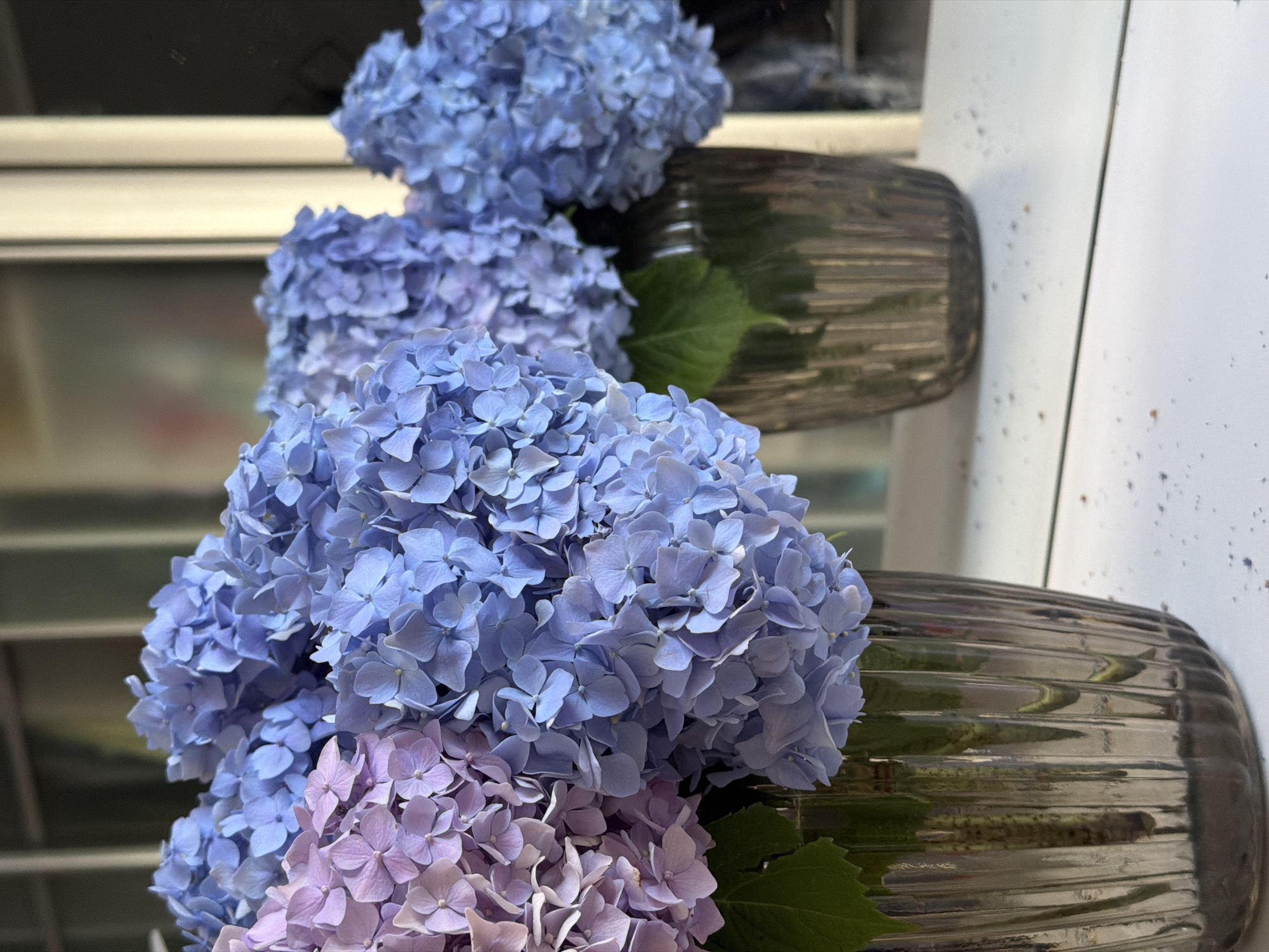The image depicts two vases of hydrangeas on a white surface, which appears to be a table with a mirrored surface. The vase in the foreground is filled with a mix of purple and blue hydrangeas, while the vase in the background contains predominantly blue hydrangeas. The vases are made of a metallic, ribbed material and have a reflective quality. The background is blurred, but hints of vertical blinds or window frames are visible. There are no people or animals in the image. The scene is static and appears to be an indoor still life. The location is not specified as Sochi, Russia, in the provided image.