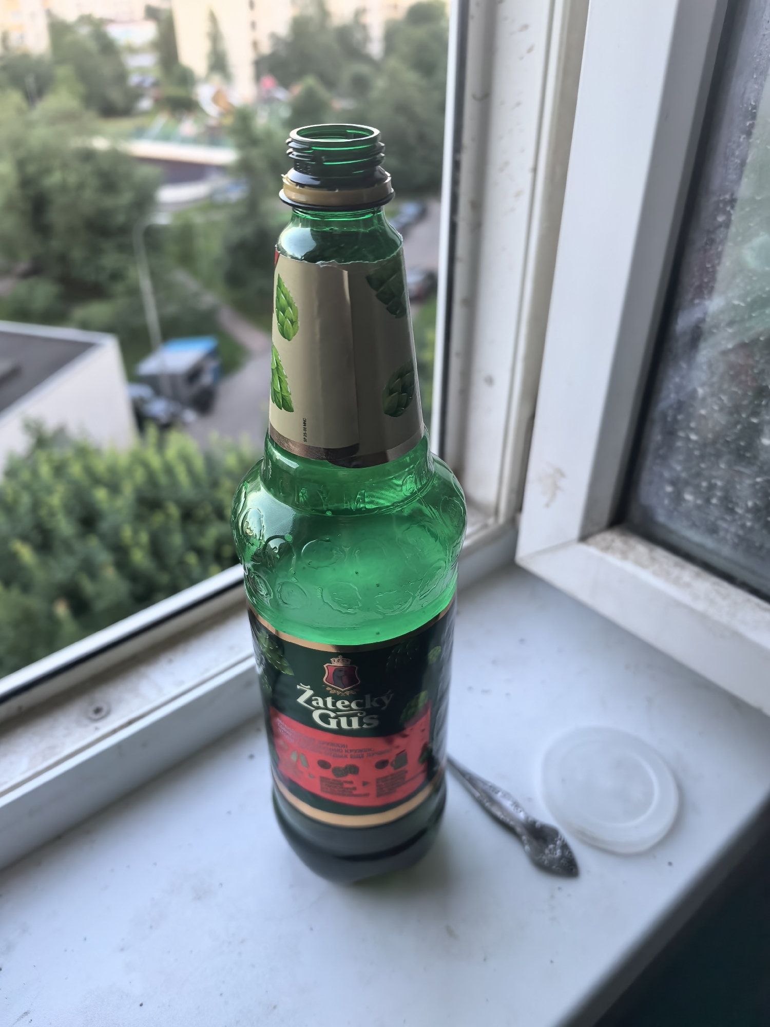 An empty green glass bottle of Zatecky Gus beer sits on a white windowsill, overlooking a residential area in Moscow, Russia. The bottle is partially filled with a greenish liquid and has a torn label featuring hops and a crest. Next to the bottle, a small, decorative spoon and a white plastic cap lie on the windowsill. In the background, apartment buildings and trees are visible, suggesting an urban setting. The window frame is white and appears slightly dirty. The lighting suggests it is daytime.