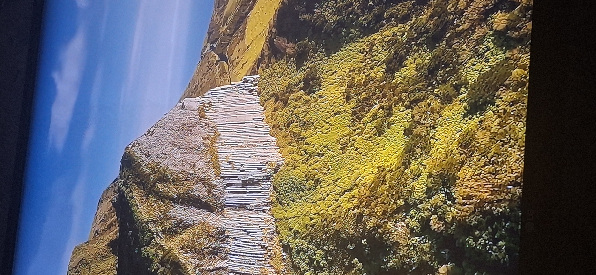 The image shows a dramatic geological formation of columnar basalt cliffs on the side of a mountain. The basalt columns are vertical and closely packed, creating a textured wall of rock. Above the columns, the mountain is covered in rough, rocky terrain with sparse vegetation. Below the basalt formation, the mountain slopes are densely covered in green and yellow foliage, suggesting a lush forest or shrubbery. In the background, a clear blue sky with a few wispy clouds is visible, and a winding path can be seen on a distant hillside. The lighting suggests it is daytime, with the sun illuminating the landscape. There are no people or specific objects visible that would indicate a location within the city of Bila Tserkva, Ukraine. The scene is entirely natural and appears to be a landscape photograph of a geological site.