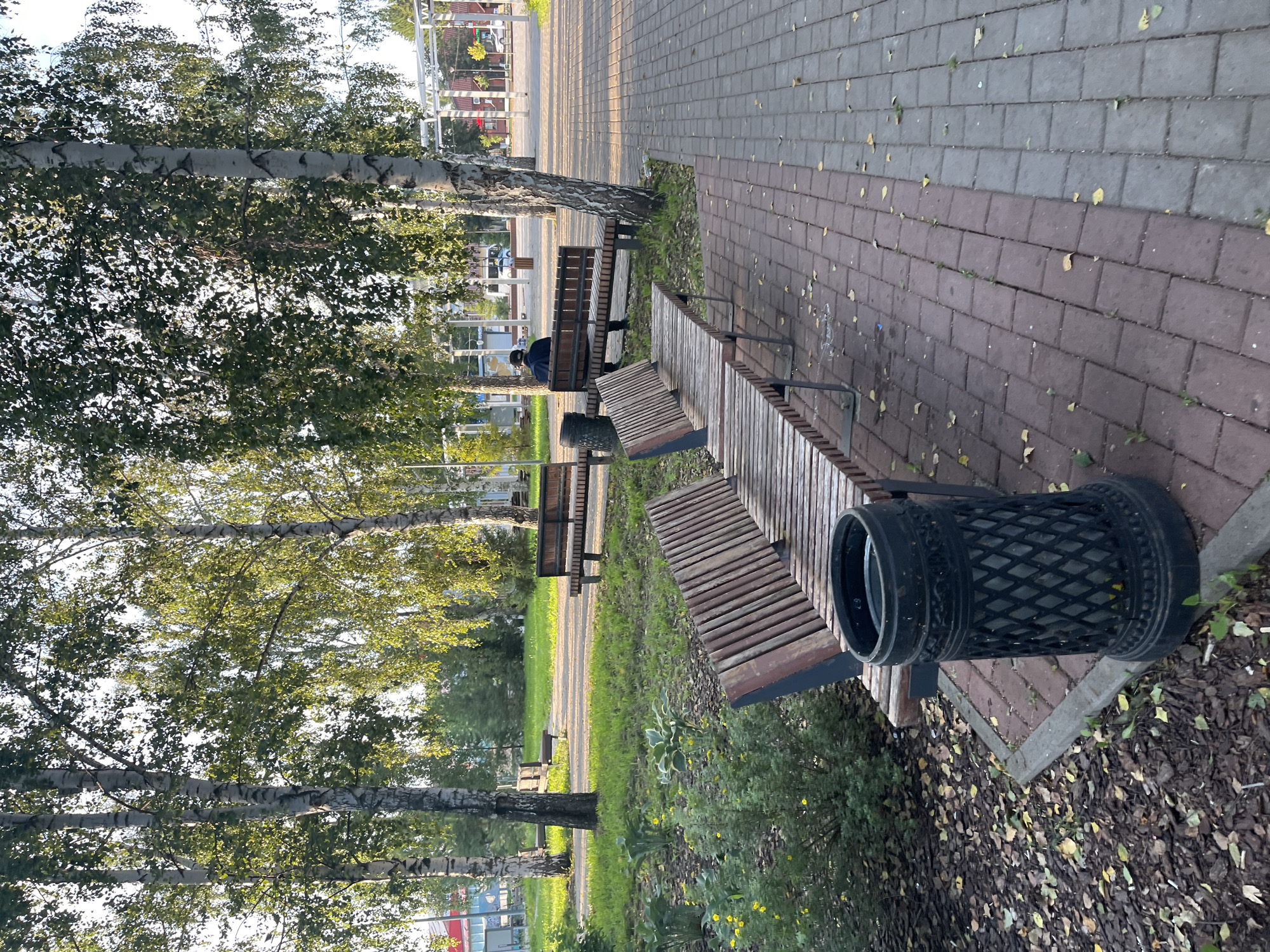 This is a medium-angle, eye-level shot of a park bench area in the city of Tugay, Russia, on a bright day with dappled sunlight. In the foreground, two long wooden park benches with metal frames are angled towards the left. The bench closest to the viewer is partially cropped. A black, ornate metal trash receptacle with a diamond pattern is positioned to the left of the benches. The ground in front of the benches is paved with red and grey interlocking bricks, with scattered fallen leaves and small weeds. To the left of the benches, there is a patch of ground covered in wood chips, with green bushes and some yellow flowers. Several tall birch trees with white bark and green foliage are prominent in the midground and background, casting shadows. A paved walkway curves through the park in the background. Further back, another wooden bench is visible, and a person wearing a dark jacket and hat is seated on it, facing away from the camera. In the distance, there are structures resembling buildings and a bus stop or kiosk, along with more trees and green grass. The overall atmosphere is calm and natural, indicative of a public park.