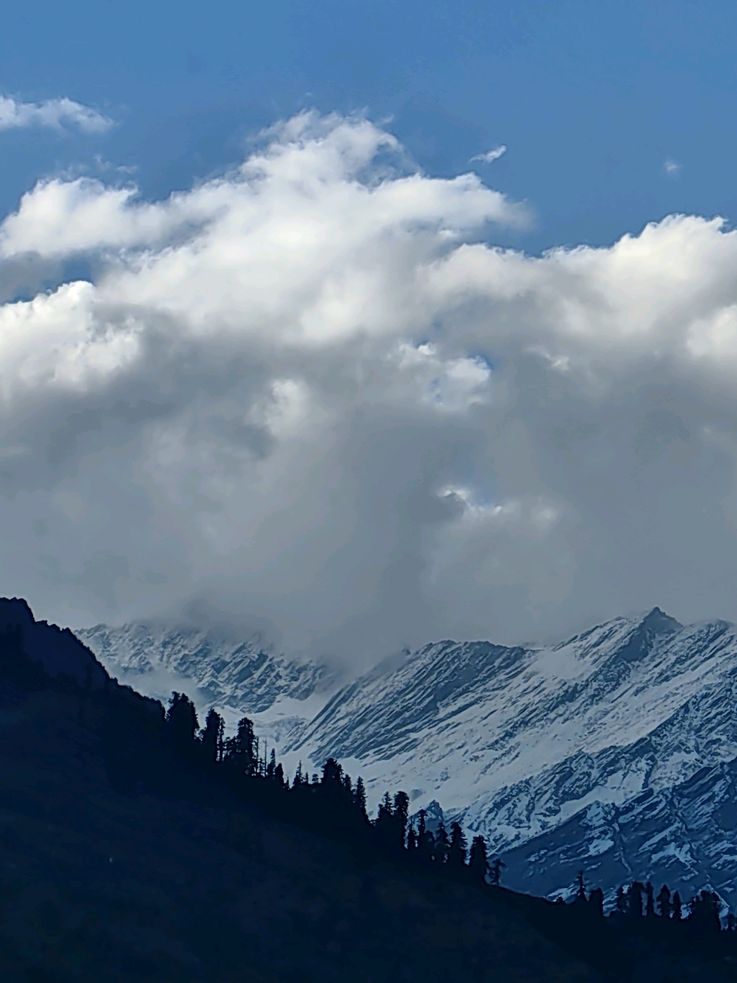 A panoramic view showcases majestic snow-capped mountains under a vast, cloudy blue sky. In the foreground, a dark, silhouetted ridge is lined with tall, slender trees, their dark forms contrasting sharply with the lighter background. The mountains, a mixture of snow and rock, display intricate patterns formed by the snow cover and the rugged terrain. The clouds are dense and dramatic, casting a soft, diffused light over the landscape. The scene depicts a serene and awe-inspiring natural environment, characteristic of the mountainous regions surrounding Vashisht, India. There are no people or animals visible in the image.