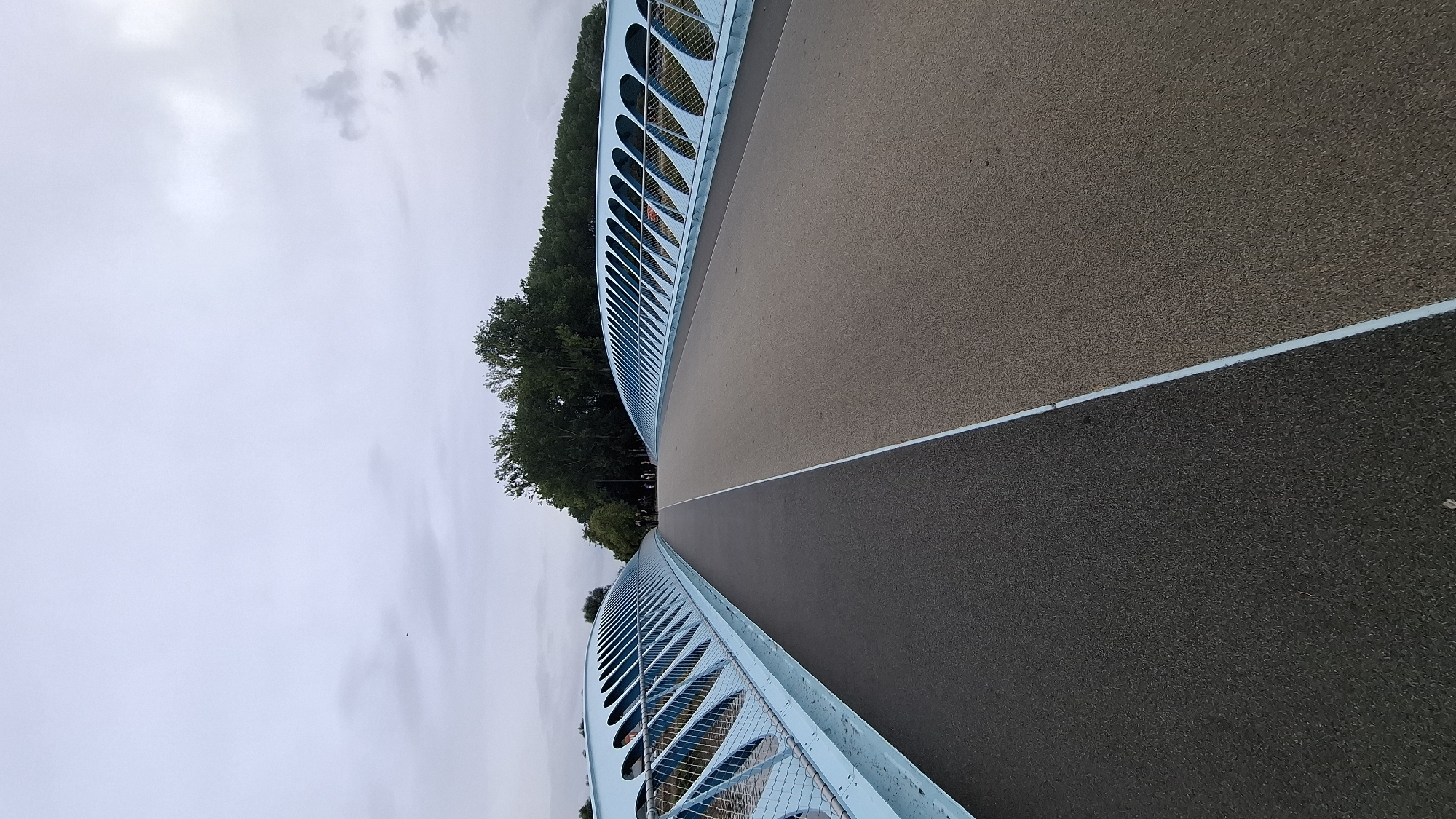 A pedestrian bridge with blue metal railings stretches across the frame, dividing into two pathways. The left pathway is dark gray asphalt, and the right pathway is a lighter, tan-colored surface. Both paths lead towards a line of lush green trees in the distance. The sky above is overcast and pale gray, with a few scattered clouds. A tiny bird is visible in the sky on the left side. The bridge's design features a series of open, oval shapes in the blue railings, with a mesh infill. The perspective is from the middle of the bridge, looking forward. The overall scene suggests a public park or urban area with pedestrian access.