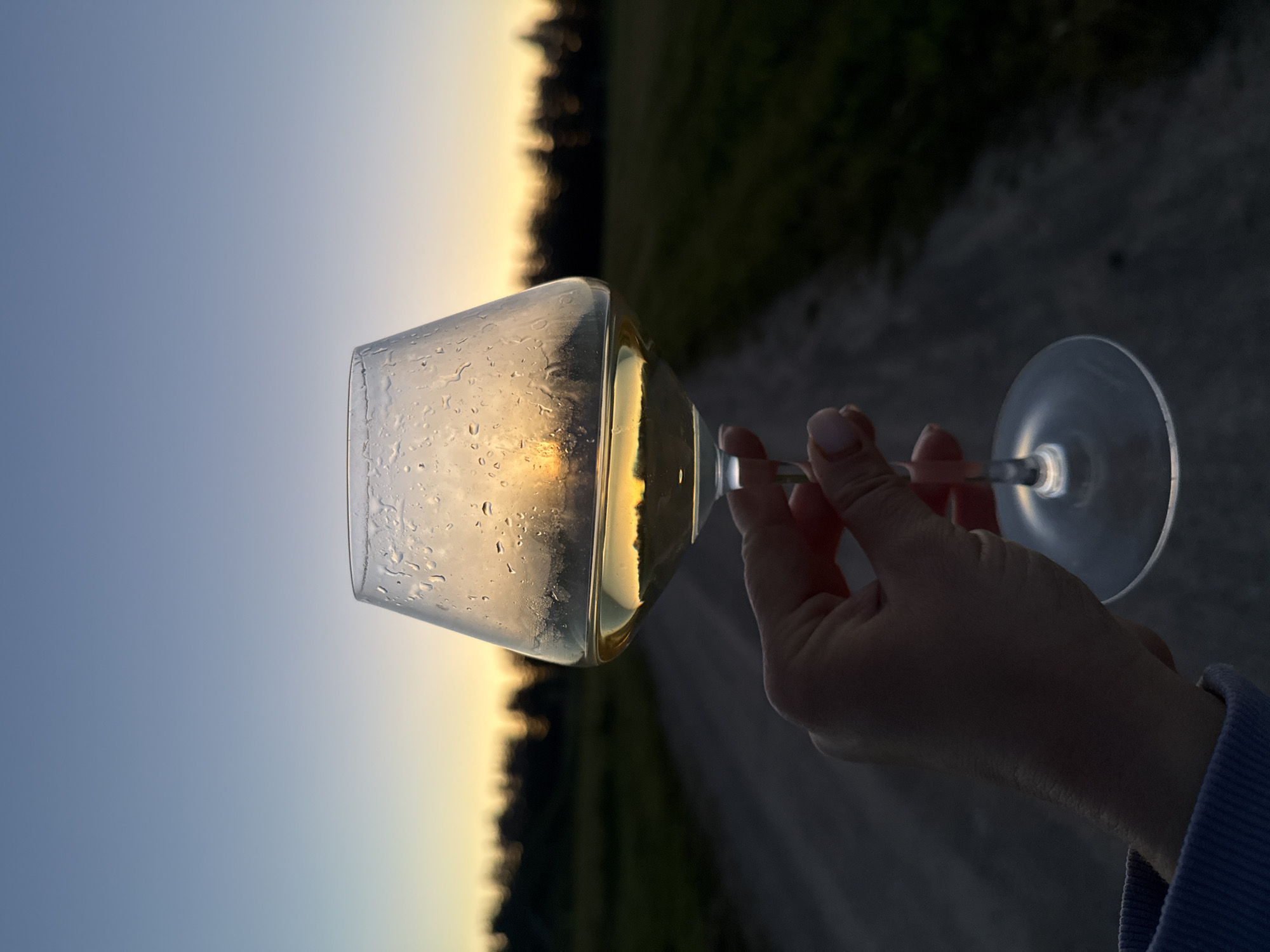 A hand holds a wine glass filled with white wine against a dusky sky. The glass is beaded with condensation and reflects the setting sun, which casts a warm glow on the horizon. In the background, a dirt road stretches into the distance, flanked by dark trees and fields. The overall mood is serene and peaceful. The image was taken in the city of Zamosh'e (Zaklinskoe S/P), Russia, suggesting a rural or semi-rural setting.