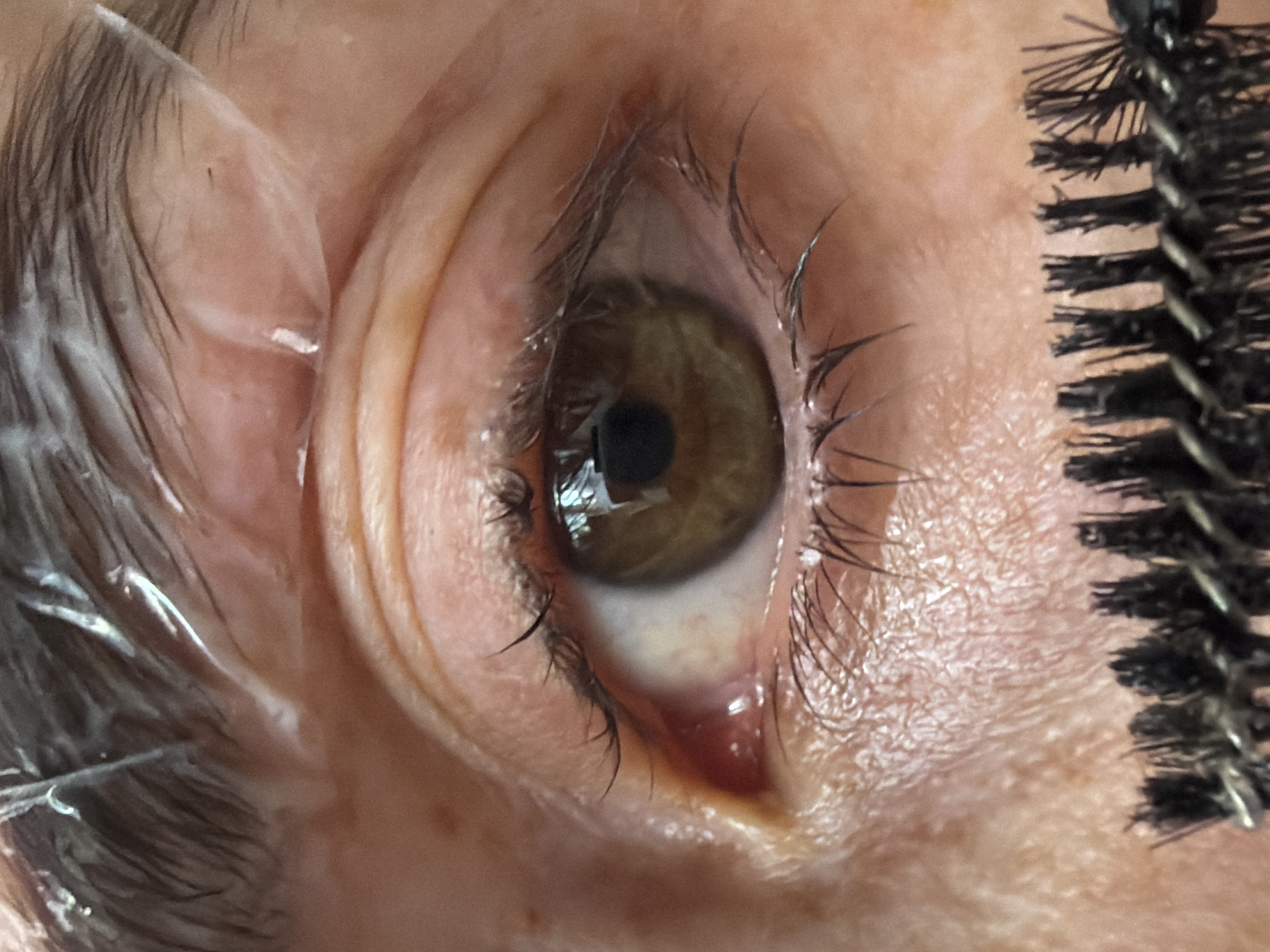 A close-up shot shows a human eye with light brown iris. The eye appears slightly bloodshot in the lower corner. Eyelashes are visible, some slightly damp. To the left of the eye is a transparent plastic sheet, and to the right is what appears to be an eyelash comb or brush. The image does not depict the location in Saint Petersburg, Russia.