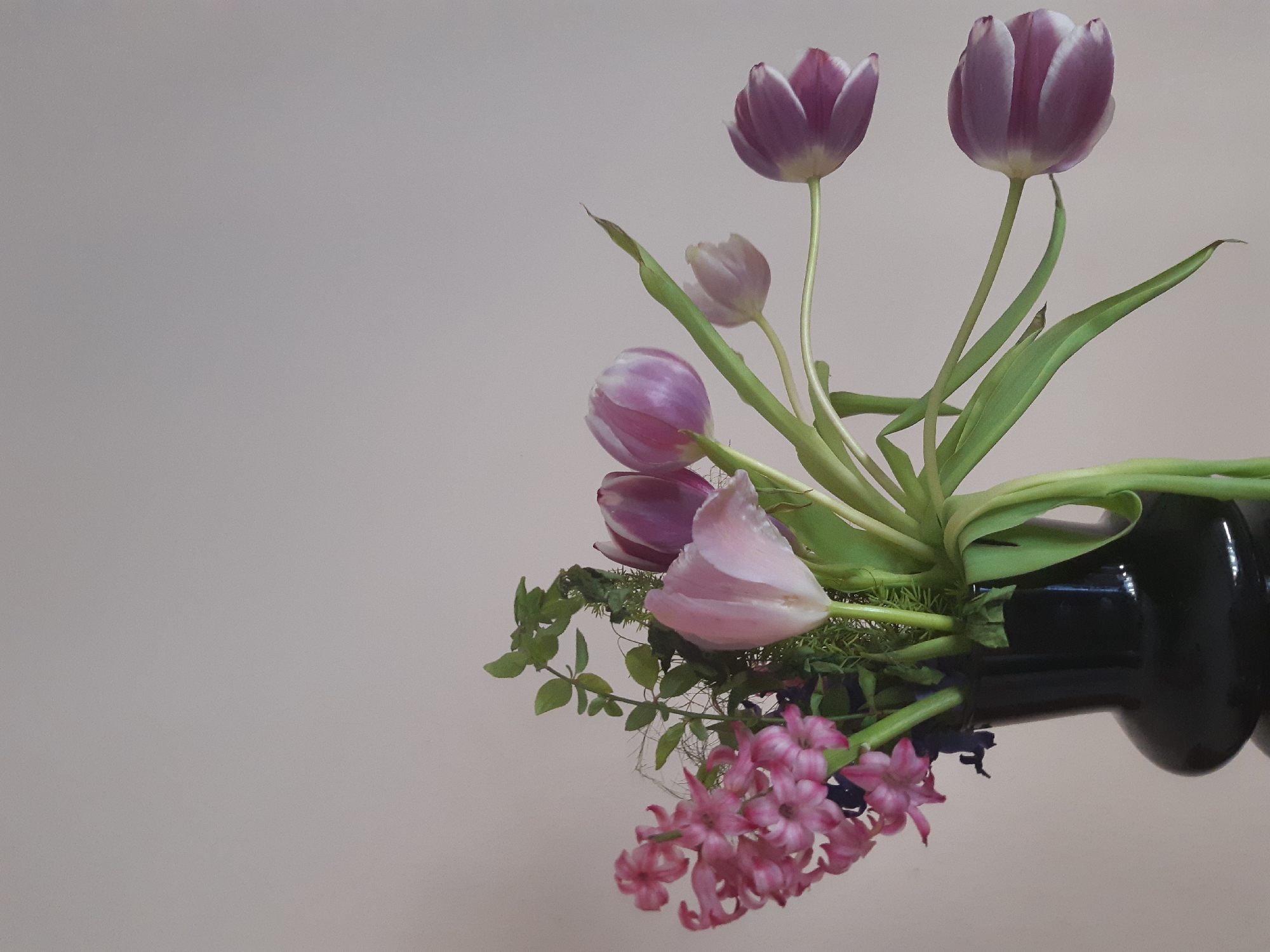 The image depicts a floral arrangement in a dark-colored vase, set against a plain, light pink background. The arrangement consists of several tulips, some with purple and white petals and others with light pink petals, along with pink hyacinths and some green foliage. The vase appears to be positioned on its side. There is no visible indication of this image being located in Plovdiv, Bulgaria. There are no people visible in the image.