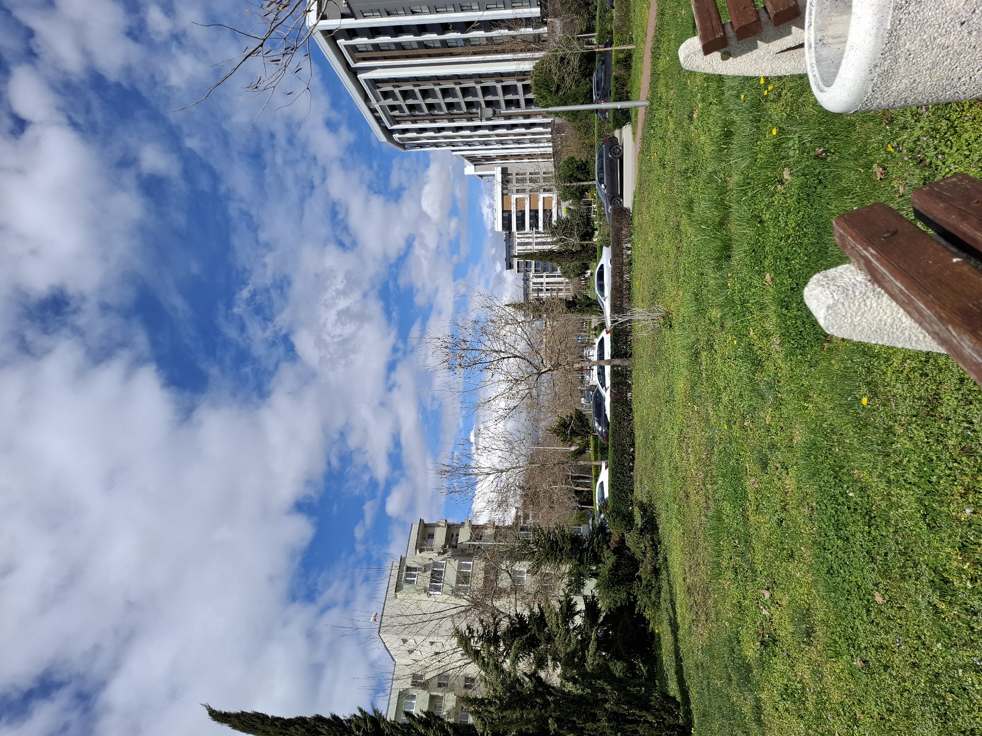 The image depicts an urban park scene in Plovdiv, Bulgaria, on a sunny day with a blue sky dotted with white clouds. The park features a green lawn with occasional yellow flowers. In the foreground are benches with wooden slats and concrete supports. The background shows apartment buildings of varying heights and designs. Several parked cars are visible alongside the buildings. Trees are interspersed throughout the scene, some with bare branches and others evergreen. There are no people visible.