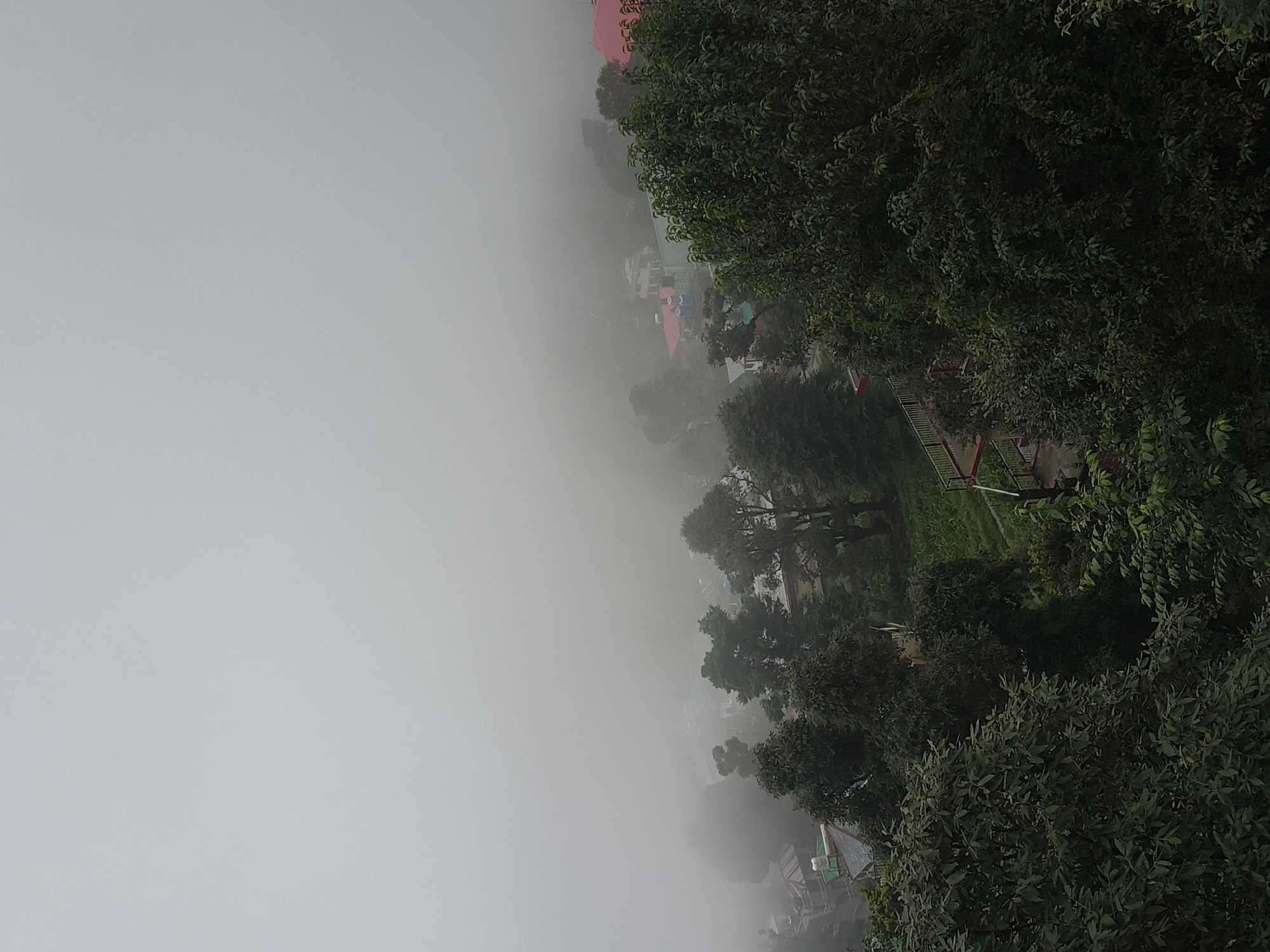 The image is an aerial view of a foggy, mountainous landscape with buildings and trees. The fog obscures much of the scene, creating a muted and hazy atmosphere. In the foreground, dense green foliage from trees dominates the lower portion of the image. A winding staircase with red railings is visible on the right side, leading down into the vegetation. Further into the scene, a cluster of buildings with red and white roofs can be seen through the fog, indicating a populated area. The overall impression is one of a serene, misty morning or evening in a hilly region.