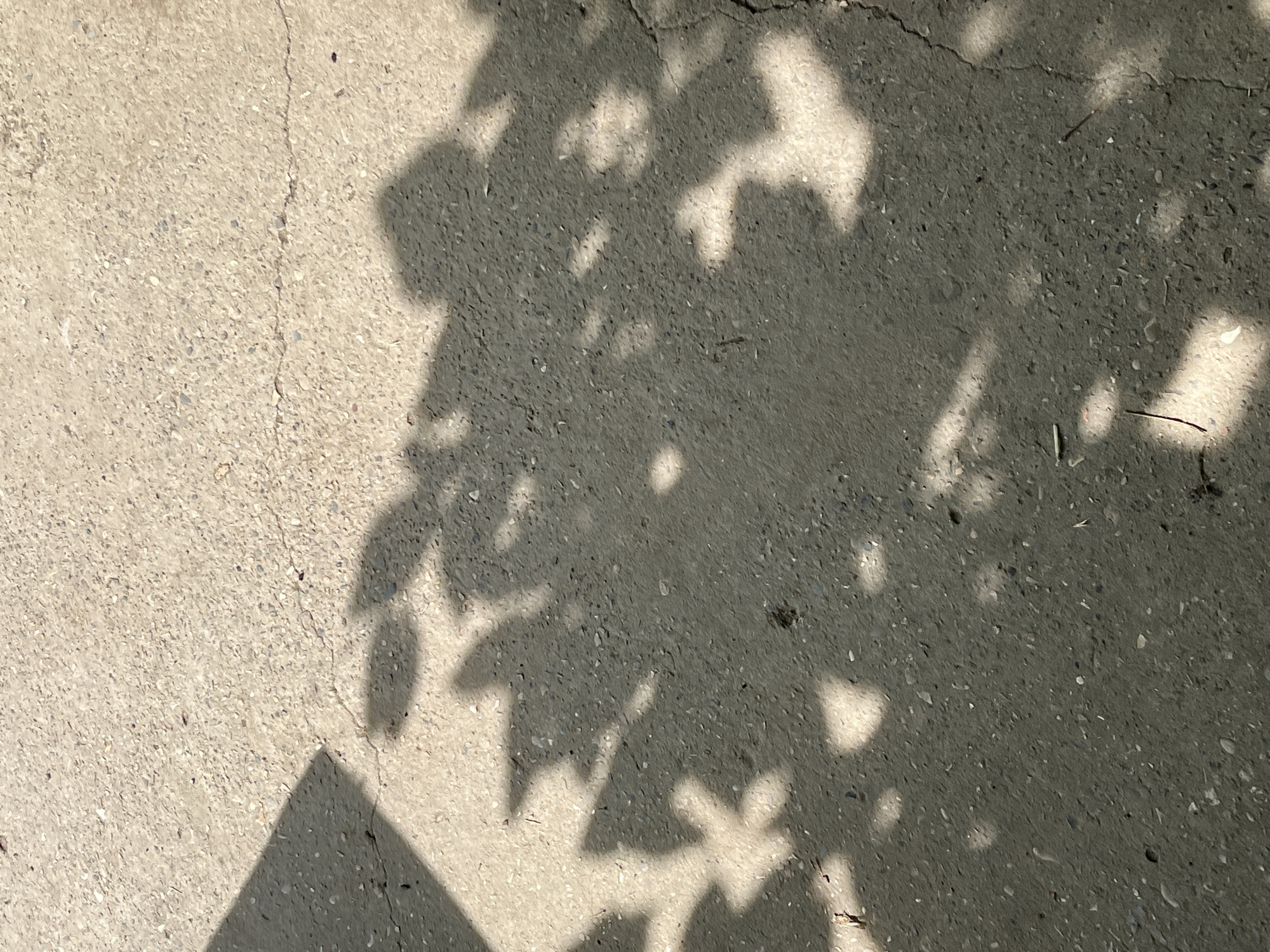 The image displays a close-up view of a concrete surface, likely a sidewalk or pavement, with distinct shadows cast upon it. The concrete exhibits a rough texture, characteristic of outdoor paving, and features a visible crack running diagonally from the top left towards the center. The shadows are fragmented and irregular, suggesting the dappled sunlight filtering through the leaves of trees or other foliage. These shadows create a pattern of light and dark areas across the surface. In the bottom left corner, a solid, triangular shadow is prominent, possibly cast by an unseen object or structure. The overall scene is simple and abstract, focusing on the interplay of light and shadow on a textured ground. The lighting indicates it is daytime, with the sun casting strong shadows. There is no visible text in the image.