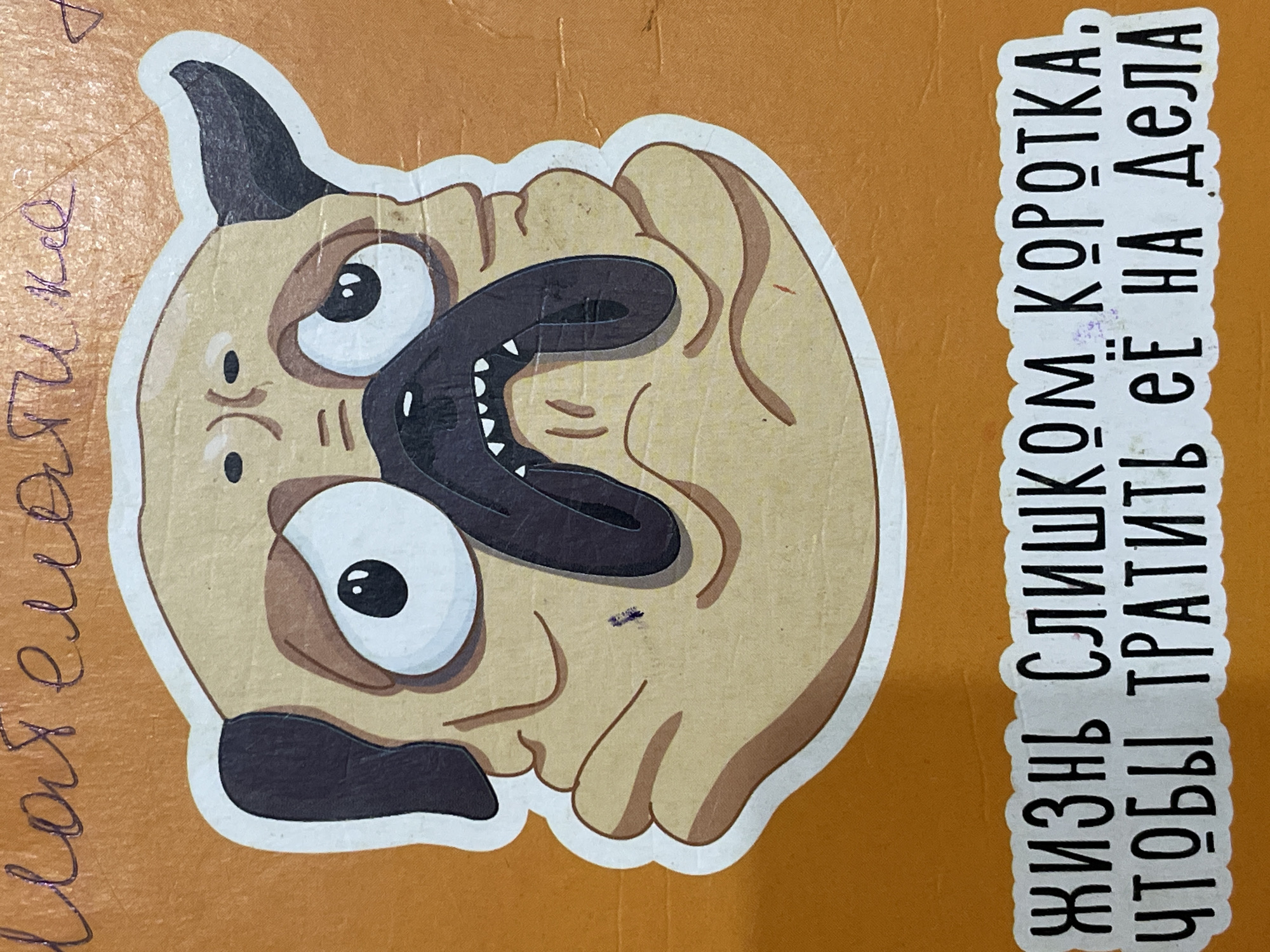 The image shows a sticker of a cartoon pug with a distressed expression. The pug is light brown with dark brown ears and facial features. It has large, round eyes with black pupils, a dark snout, and an open mouth showing white teeth. The pug is drawn with thick black outlines. Below the pug sticker is a white rectangular sticker with black Russian text. The background is an orange textured surface, possibly a wall or a piece of furniture. The text on the sticker reads "Жизнь слишком коротка, чтобы тратить её на дела," which translates to "Life is too short to waste it on chores." The image is an indoor shot with no discernible elements of Denpasar, Indonesia.