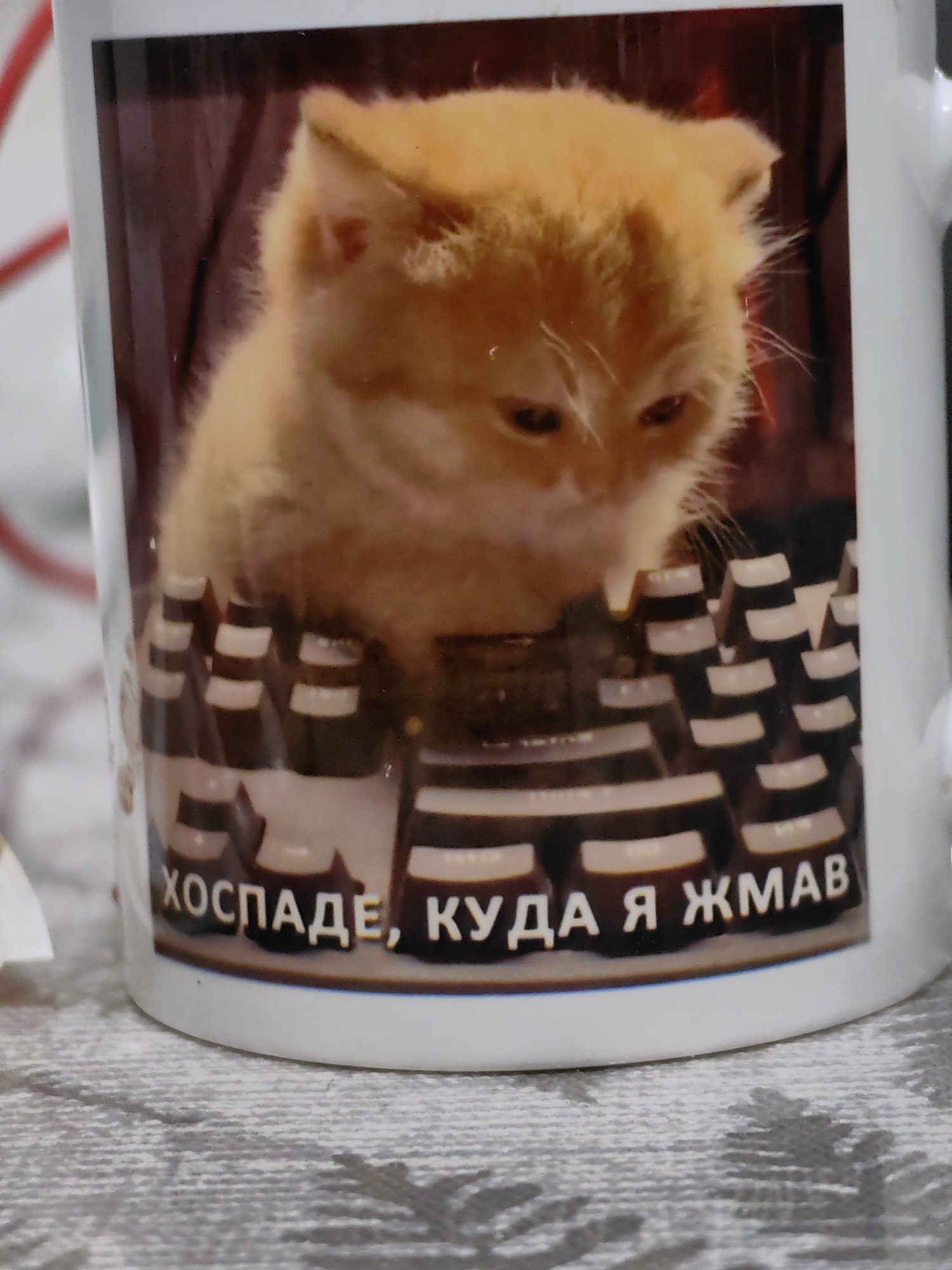 The image shows a white coffee mug with a picture of a sad, ginger kitten superimposed over a keyboard. Below the kitten and keyboard image is the Russian phrase "ХОСПАДЕ, КУДА Я ЖМАВ." The mug is sitting on a surface covered with a gray and white patterned tablecloth. The photograph's origin or location, including the city of Chaikovsky, Russia, cannot be determined from the visual information provided.