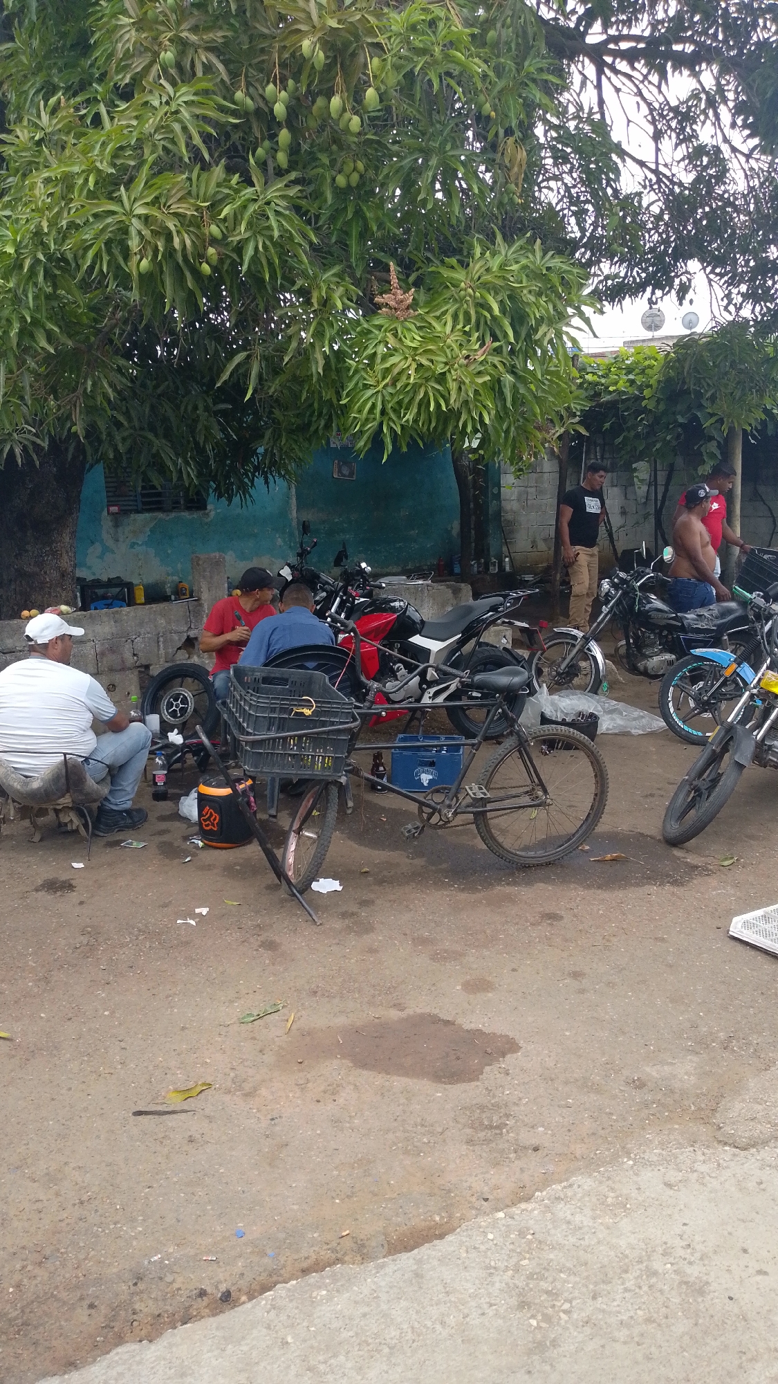 The image depicts an outdoor scene in Tinaquillo, Venezuela, featuring a group of men gathered around motorcycles and a modified bicycle. Three men are seated and appear to be working on a motorcycle tire. One man is wearing a white cap and t-shirt, one is in a red shirt, and the third is in a blue shirt. A fourth man is standing nearby wearing a black t-shirt and khaki pants, and two shirtless men are standing near motorcycles in the background. Several motorcycles are parked in the area, including a red and white one, a black one, and a blue one. A black modified bicycle with a basket and a blue crate on the back is parked in the foreground. The ground is dirt and gravel, and there is a tree with mangoes overhead. A wall and a building with blue paint can be seen in the background.